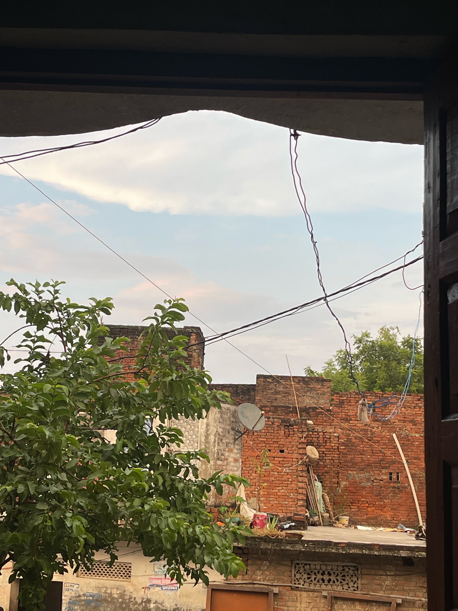 The image captures a view from an interior space looking outwards towards a cloudy sky and buildings in Bojhi, India. In the foreground, the dark interior of a room frames the scene, with wooden elements on the right. A lush green tree with many leaves partially obscures the view of the buildings beyond. The buildings are constructed of red brick, with some walls showing signs of age and disrepair. A satellite dish is visible on one of the rooftops, along with various objects such as buckets, sacks, and laundry hanging to dry. Electrical wires crisscross the sky above the buildings, adding to the urban landscape. The sky is filled with soft, diffused light, suggesting it might be late afternoon or early morning. There are no people visible in the frame.