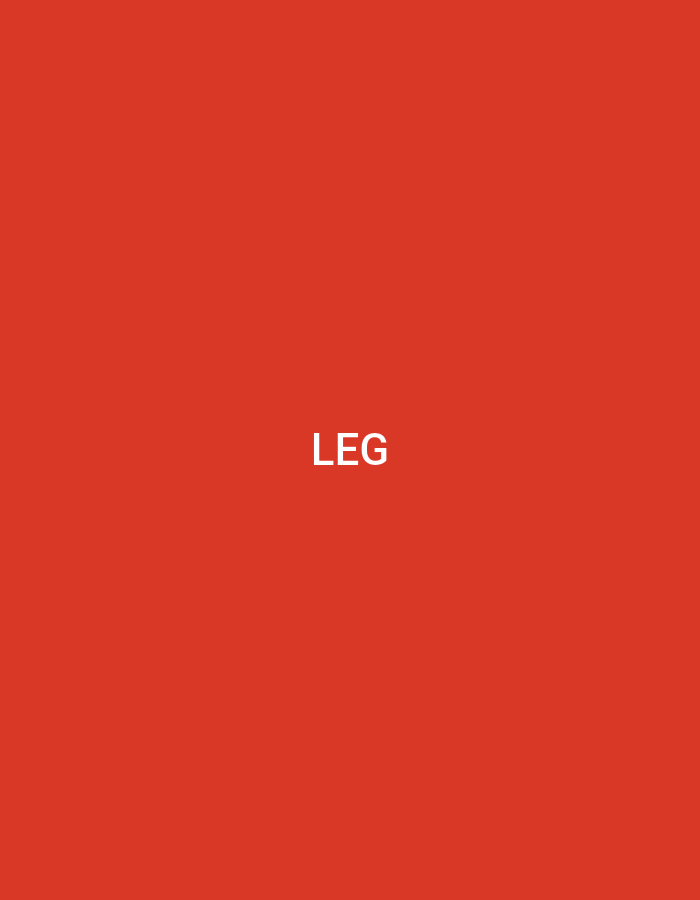 The image displays a uniform, solid red background. Centered horizontally and vertically on this background is the word "LEG," rendered in white, uppercase, sans-serif letters. There are no other subjects, objects, people, or actions depicted. The environment is entirely abstract, consisting solely of the red color field and the white text. The image contains no visual information, landmarks, or contextual clues to indicate a specific geographical location, including the city of Casablanca, Morocco.