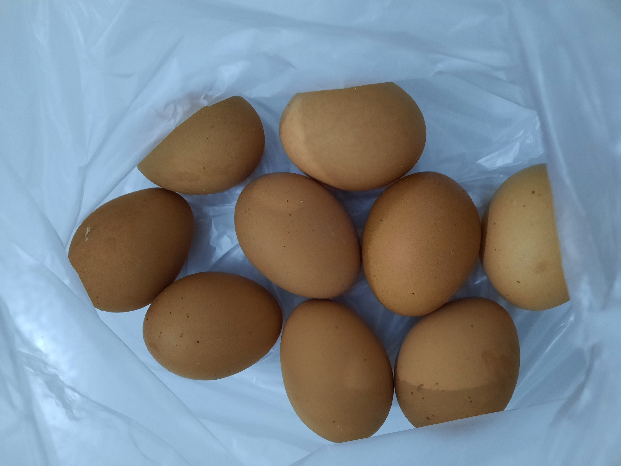 A top-down view shows nine brown eggs in a white plastic bag. The eggs are arranged in a loose cluster, with some overlapping. Two of the eggs appear to be broken, with a portion of their shells missing. The bag is slightly crinkled, suggesting it may be a disposable grocery bag. The lighting is diffuse, and there are no clear shadows, indicating an indoor environment. The image is devoid of any context related to Lhokseumawe, Indonesia, or any identifiable landmarks or signs that would suggest a specific location within the city.