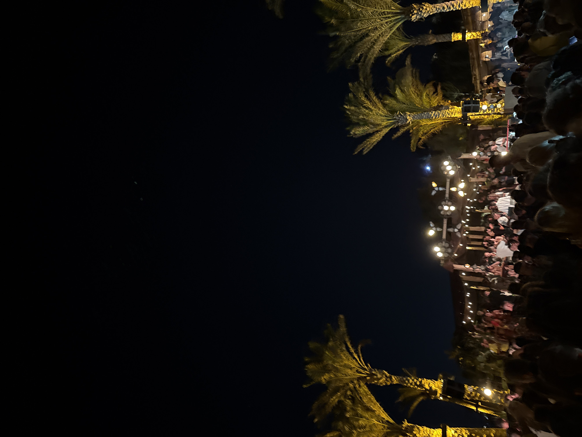 The image depicts a nighttime outdoor event with a large crowd of people gathered. Palm trees illuminated by yellow lights are visible on the left and right sides of the frame. In the background, there is a structure with hanging lights, suggesting a venue or stage area. The sky is dark, indicating it is nighttime. The crowd appears to be engaged in some form of social gathering or entertainment. The scene has the ambiance of a party or festival.