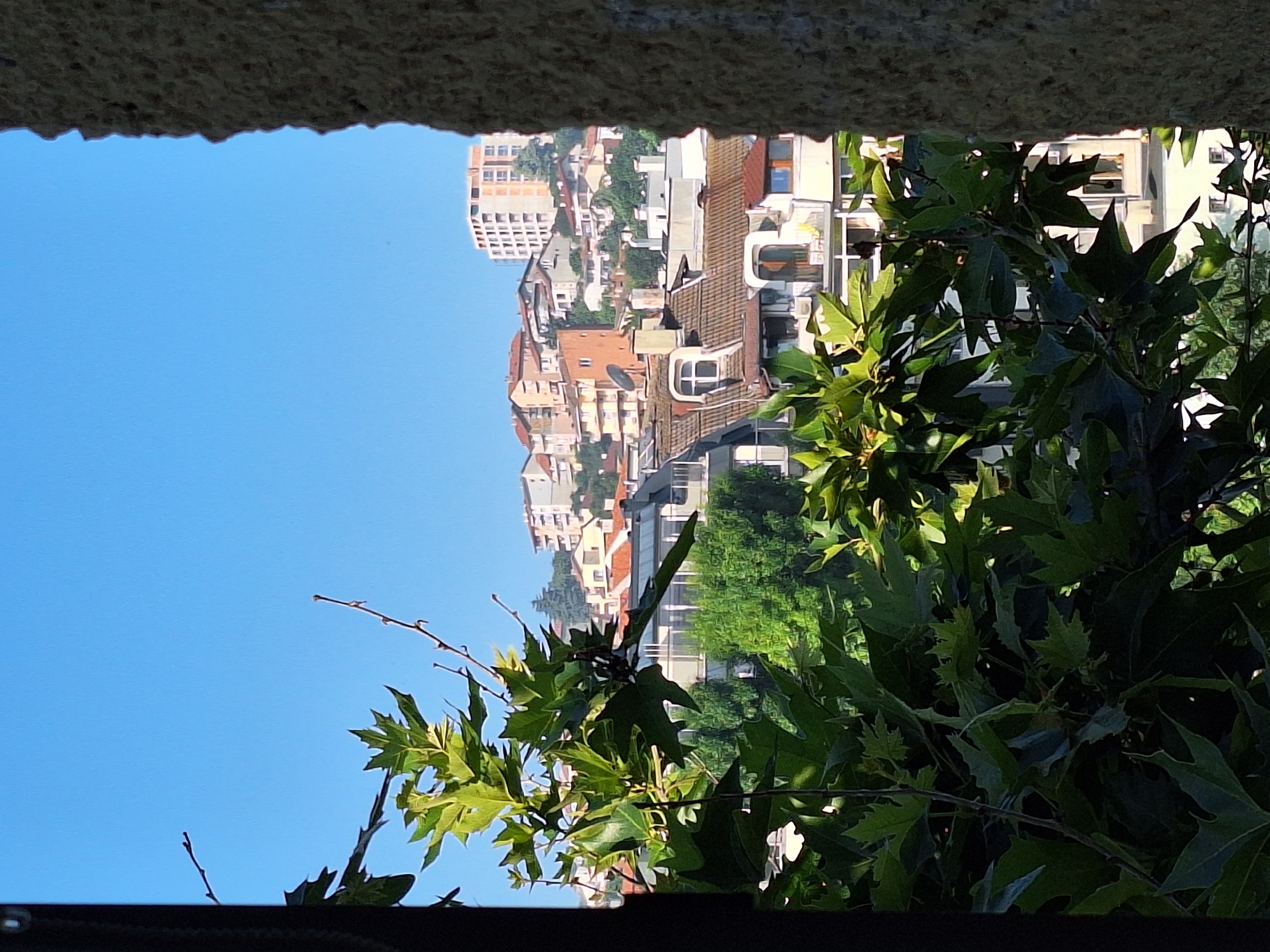 This image depicts a view of buildings in Varna, Bulgaria, seen through foliage and framed by a rough stone structure on the right and a dark vertical element on the left. In the foreground, lush green leaves and branches of a tree dominate the lower half of the frame. Beyond the greenery, a dense cityscape unfolds, characterized by a variety of buildings with tiled roofs, some displaying orange and red hues, and lighter colored facades. A tall, light-colored building with multiple floors and windows stands out on a hill in the background. The sky is a clear, bright blue. The scene appears to be captured during daylight, with sunlight illuminating the buildings and foliage. The overall impression is of an urban landscape partially obscured by nature, viewed from an elevated or angled perspective.