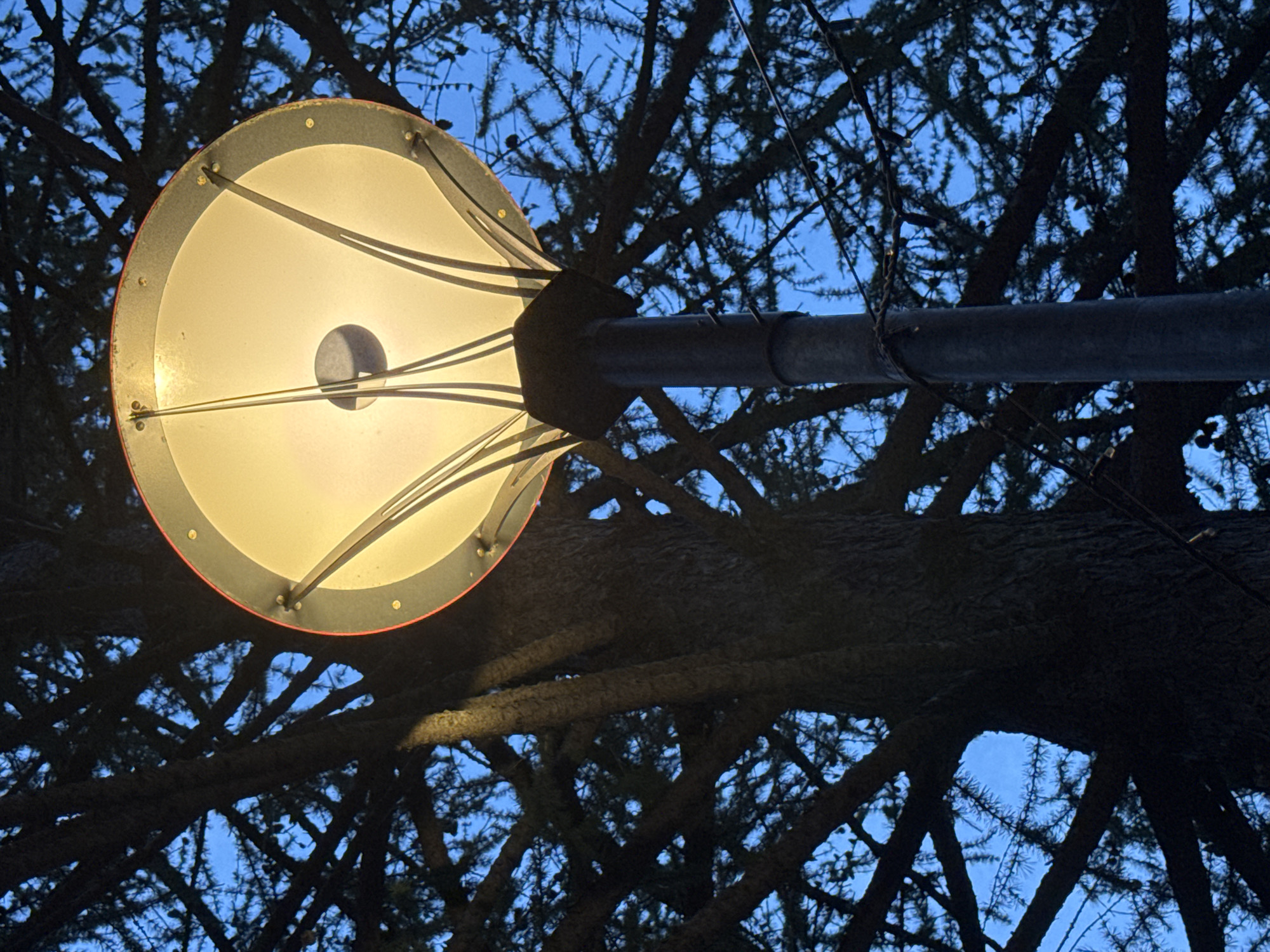 The image shows a close-up, low-angle shot of a streetlamp with a luminous white shade and a red rim, set against a dark, silhouetted tree with deep blue twilight sky in the background. The tree's branches are dense and spread out, partially obscuring the sky and the lamp. The lamp is mounted on a dark, cylindrical pole. A small, dark spherical object is visible in the center of the lamp's shade. The scene appears to be outdoors, in an urban or park setting, possibly in Yelizovo, Russia, as suggested. There are no people or animals visible in the image. The overall mood is serene, with the warm glow of the lamp contrasting with the cool tones of the sky and the dark silhouette of the tree.