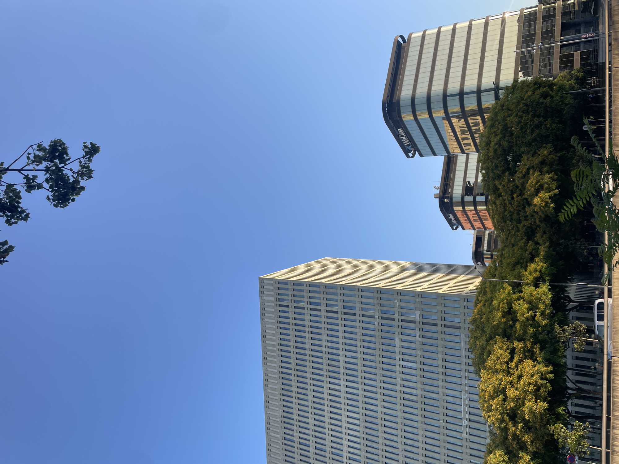The image captures a clear blue sky over the city of L'Hospitalet de Llobregat, Spain. In the foreground, a large, modern office building with a facade of numerous small windows dominates the left side of the frame. To the right, two smaller, curved glass office buildings are visible, one with the "VidaCaixa" logo at the top. Lush green trees with some yellow foliage are situated between the buildings and the street. A white van is parked on the street in front of the buildings, and traffic barriers line the road. A tree branch with green leaves hangs from the top of the image. The overall scene depicts a commercial district under a bright, sunny sky.
