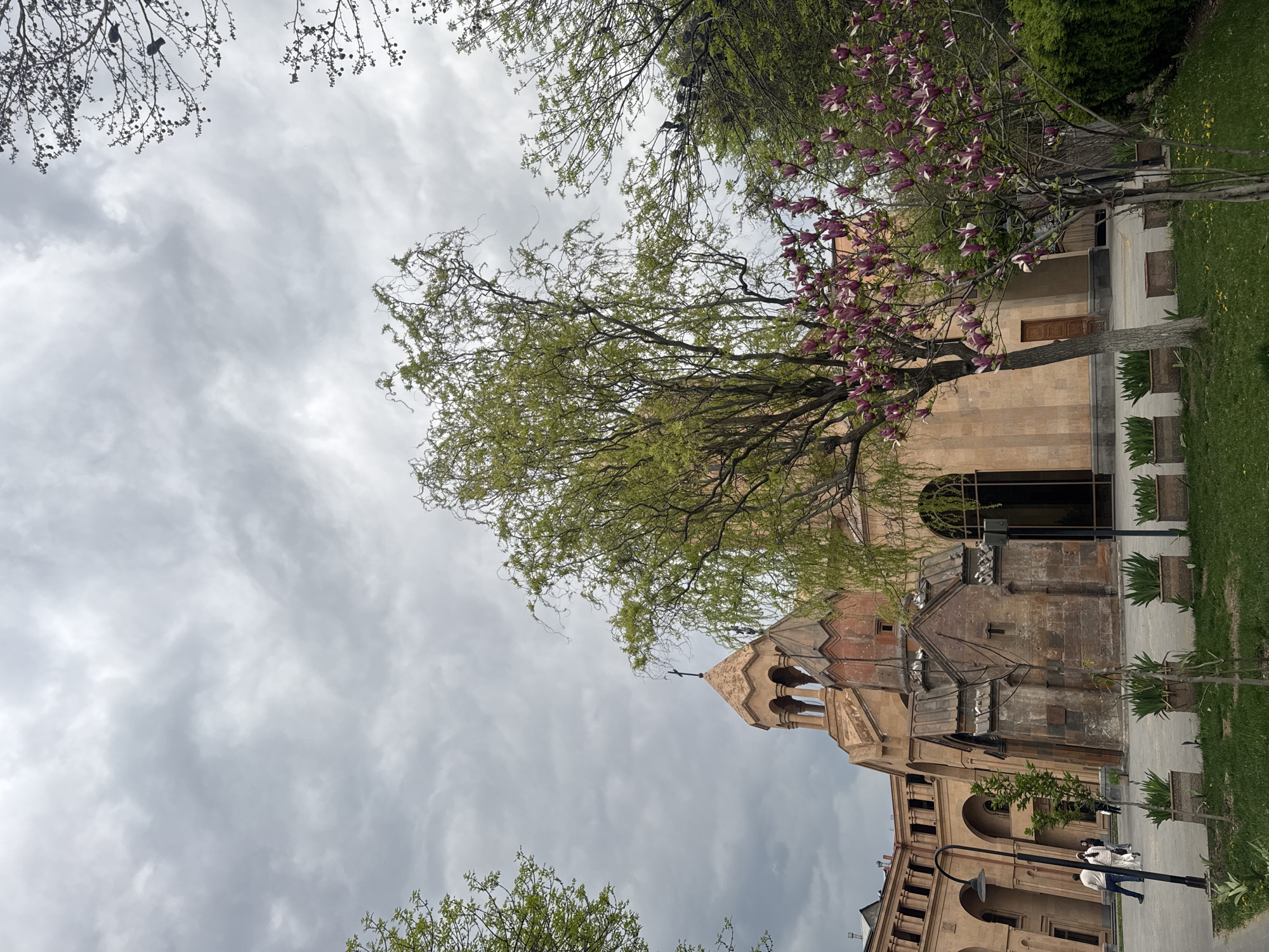 This image, rotated 90 degrees counter-clockwise, presents an exterior view of a grand architectural complex, likely a church or monastery, set amidst lush greenery under an overcast sky in Yerevan, Armenia.
The central subject is a light brown stone building, characteristic of Armenian ecclesiastical architecture. It features a prominent bell tower or dome with a conical roof, adorned with arched openings and topped by a small cross. An older, darker stone structure, possibly a historic chapel or ruin, is integrated into the larger building, adding layers of history to the site. Part of another building with arched facades is visible towards the bottom of the frame.
Several trees frame the scene. A large tree with vibrant green leaves dominates the mid-ground, partially obscuring the main building. To the right, a tree adorned with delicate purple and white blossoms, likely a magnolia, adds a splash of color. Other branches, some bare or with small buds/fruits, are visible against the cloudy sky in the upper corners. Green grass lawns border paved pathways where a few people are seen walking casually in the lower right portion of the image.
The sky is entirely overcast with soft, grey clouds, indicating a diffused light and a non-sunny day. The overall atmosphere is tranquil and contemplative, characteristic of a historical religious site. The visible human figures are small in scale, highlighting the impressive size of the architecture. There is no visible text in the image.