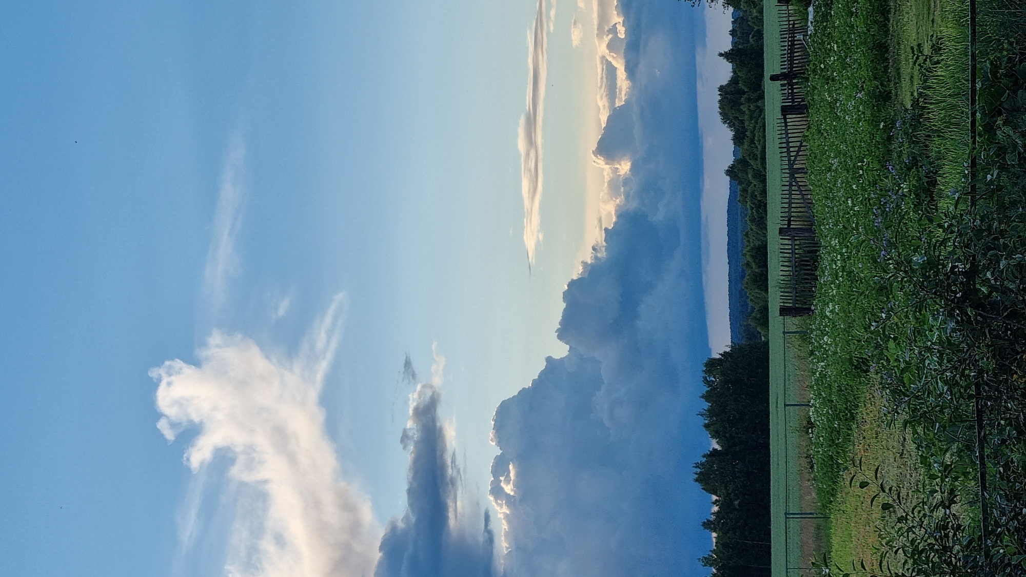 This is a vertical, outdoor, eye-level photograph of a rural landscape in Vysokoe, Russia, during what appears to be late afternoon or early evening. The sky dominates the upper portion of the frame and features a mix of bright blue sky with wispy white clouds and darker, more voluminous storm clouds. The sunlight is catching the edges of some of the clouds, creating a golden glow, suggesting the sun is low in the sky.
The lower portion of the image depicts a green field with rows of what appear to be crops, possibly potatoes, as indicated by the small white and purple flowers visible. A rustic wooden fence runs horizontally across the middle ground, separating the field from a dark line of trees in the distance. Beyond the trees, a hazy blue horizon suggests rolling hills or mountains. The overall mood is peaceful and serene, with the dramatic sky providing a striking contrast to the tranquil earth. There is no visible text in the image.