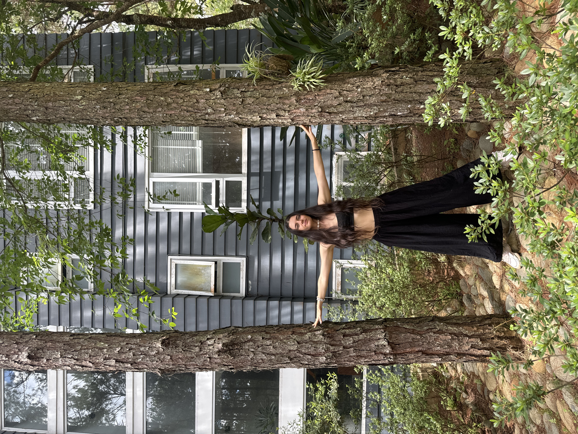 A young woman with long dark hair stands between two trees. She wears a black crop top and wide-legged black pants, with white sneakers visible. Her arms are extended, touching the tree trunks on either side. Behind her, a gray clapboard house is visible, featuring numerous windows. The foreground and surrounding areas are filled with lush greenery, including bushes and trees. The ground is paved with small stones. Based on the architectural style and vegetation, this image could potentially be from Da Lat, Vietnam. The woman is posing for the photograph.