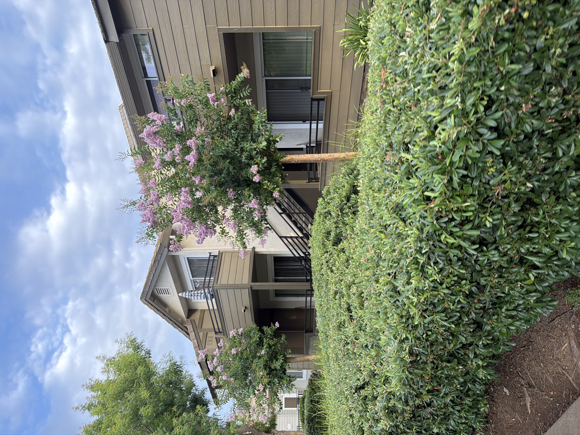 In Elk Grove, United States of America, an exterior view shows a two-story apartment building with brown siding. A dense green hedge runs along the foreground. A small tree with pink blossoms is positioned in front of the building. Above the hedge, a balcony with a black railing is visible on the second floor, featuring a blue and white striped umbrella. Stairs with black railings lead up the side of the building to the right. The sky above is partly cloudy with a mix of blue sky and white clouds.