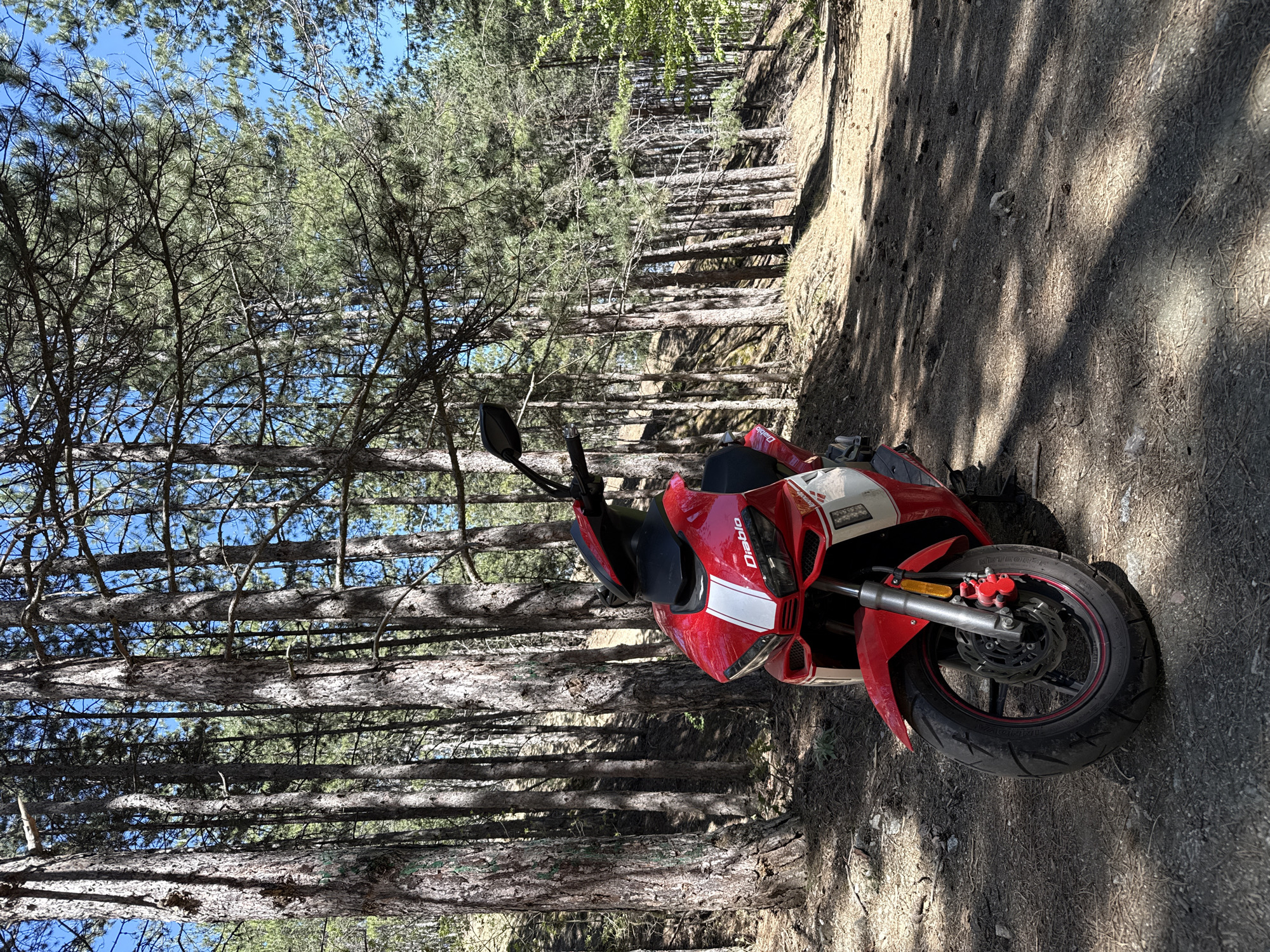 A red Diablo moped is parked on a dirt path in a forest. The path is bordered by pine trees, some of which appear to have been cut down and stacked. The sky is visible through the trees. The location is Boboshevo, Bulgaria.