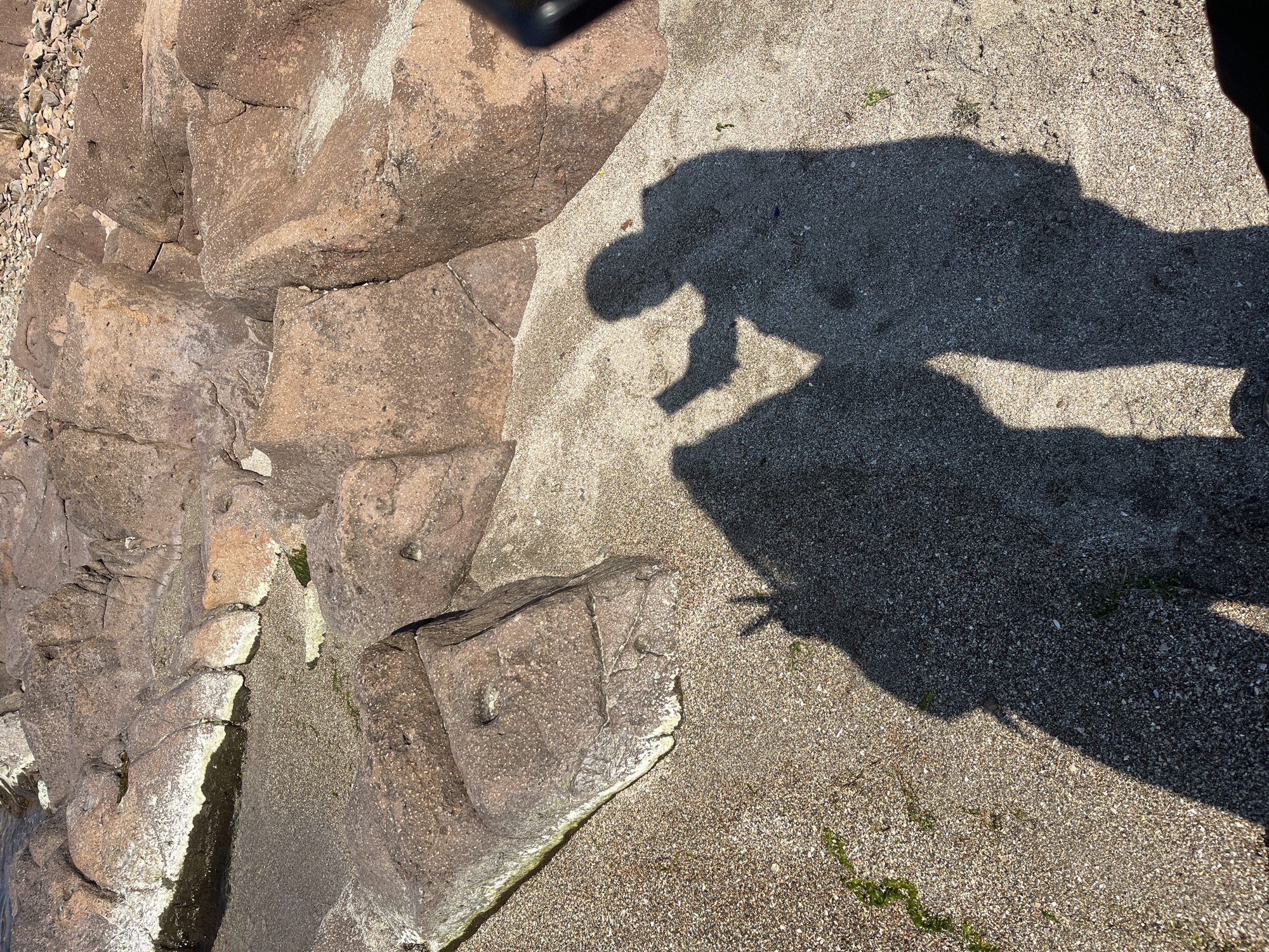 The image shows a rocky area next to what appears to be a beach or sandy ground. There are several large rocks on the left, with smaller pebbles visible near the top. To the right of the rocks is a sandy or gravelly surface. There is a clear shadow of a person or object in the upper right, indicating bright sunlight. The location is likely a beach near Burgas, Bulgaria, based on the user's indication. The image depicts a scene where land transitions from rocky terrain to sandy ground, illuminated by sunlight.