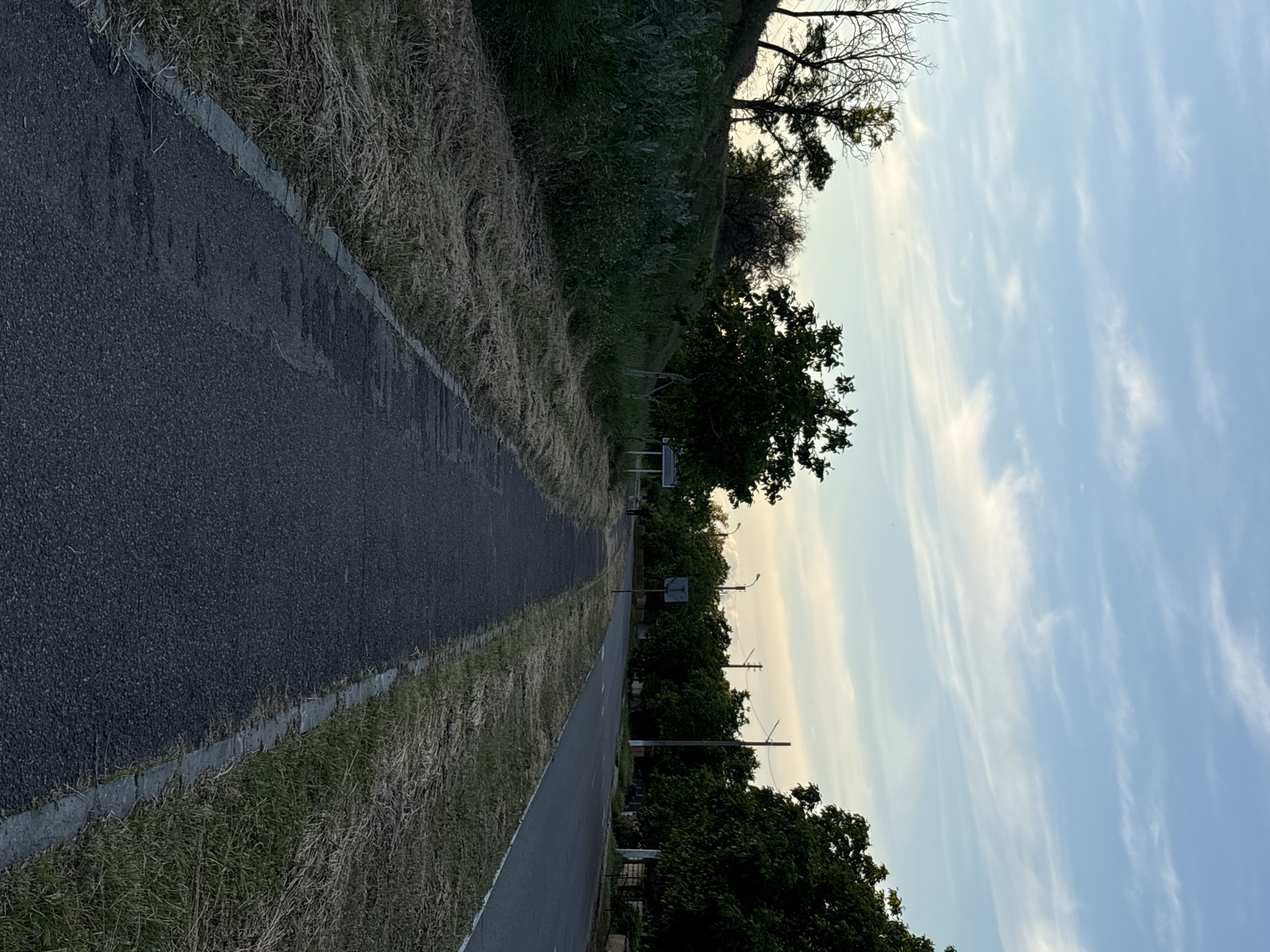 The image displays an outdoor landscape in Varnița, Moldova, featuring parallel paved paths or roads receding into the distance. On the left, a narrower paved surface, likely a pedestrian or bicycle path, is bordered by a concrete curb and a strip of dry, light-brown grass. Adjacent to this, an elevated embankment rises, also covered in dry grass and some green vegetation, with a few trees at its crest.
On the right side of the image, another, wider paved area, possibly a road, runs parallel to the left path. This area is also edged by dry grass. A dense line of green trees extends along the right side of this wider pavement, partially obscuring what appear to be utility poles or streetlights and a small, square signpost with unreadable text. Further left and higher up, several bare-branched trees are silhouetted against the sky.
The sky, visible in the upper portion of the image, is a light blue with scattered, wispy white clouds, characteristic of cirrus formations. The soft, diffuse lighting suggests the time of day is late afternoon or early evening. No people or specific activities are visible, giving the scene a calm and serene atmosphere. No discernible text is visible on any signs or objects.
