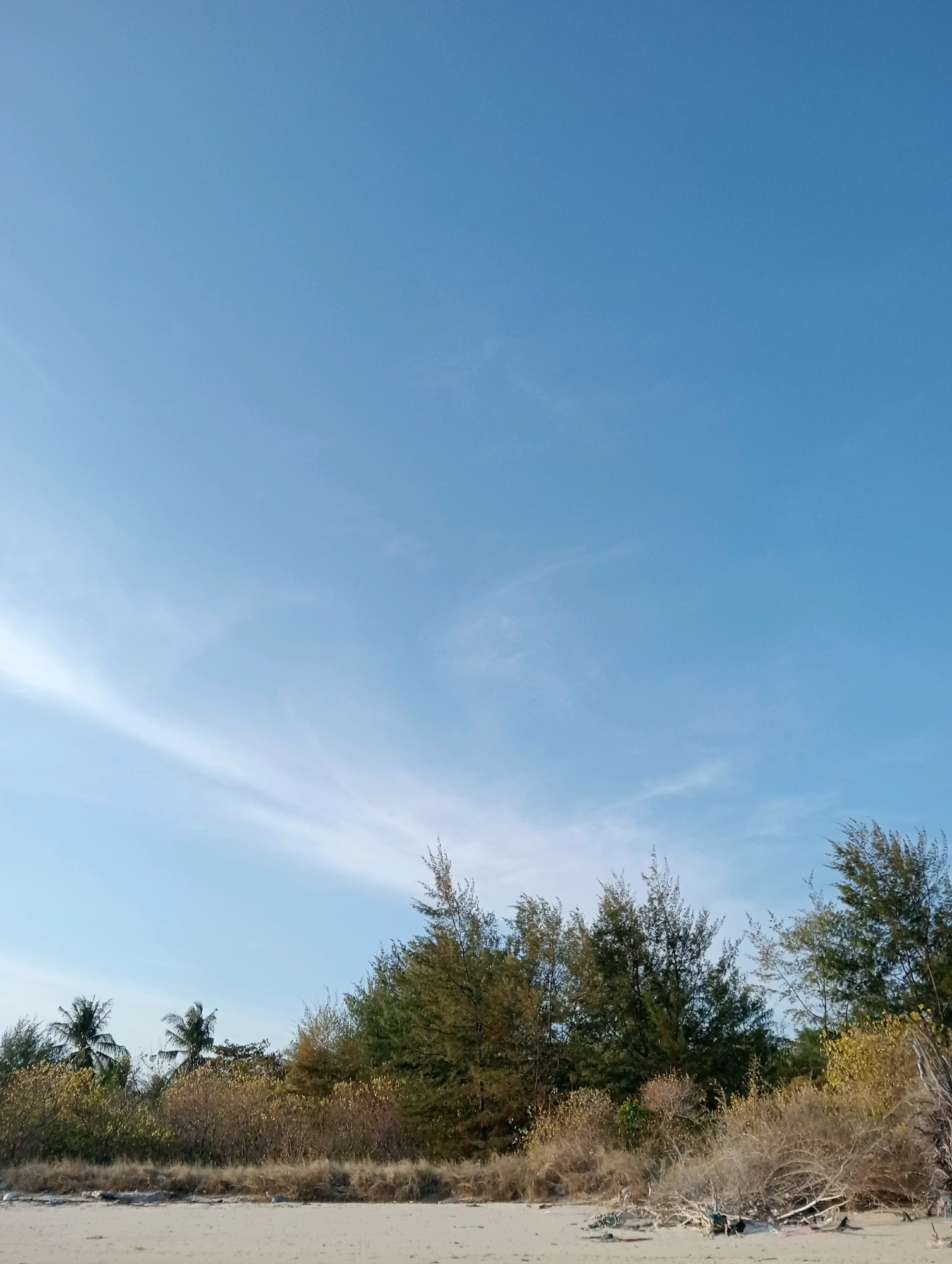 The image depicts a coastal scene in Pagerungan Kecil, Indonesia. The foreground is a sandy beach, with some dry vegetation and driftwood scattered on it. Behind the beach, there is a dense line of trees and bushes, with some palm trees visible on the left. The trees appear to be a mix of evergreen and deciduous types, with foliage in various shades of green and brown. The sky is a clear, bright blue with a few wispy white clouds. The overall impression is one of a natural, undeveloped coastal environment.