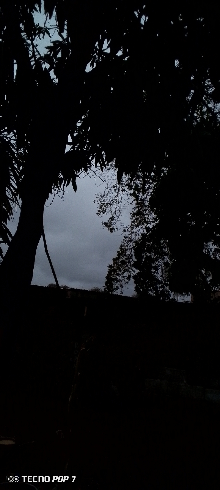 The image captures a silhouetted view of trees against a cloudy, overcast sky, suggestive of dusk or an impending storm. The foreground is heavily shadowed, obscuring most details of the ground and any potential structures or vegetation. A portion of a building's roofline is faintly visible behind the trees. The lower left corner of the image displays a watermark that reads "TECNO POP 7". No specific landmarks or identifiable features of Altagracia, Venezuela, are discernible. The scene is dark and lacks clear human presence or activity.