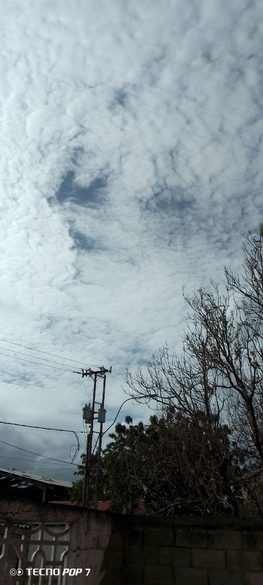 This is a vertical, outdoor, medium-shot photograph taken during the day. The sky dominates the upper two-thirds of the frame, filled with a dense, patchy layer of white and gray clouds, with glimpses of blue sky visible through the gaps. A utility pole with electrical transformers and wires is positioned in the center of the frame. To the right of the pole, a leafless tree with intricate branches stands out against the cloudy sky. In the lower portion of the image, a low wall made of concrete blocks is visible, with a metal fence or gate in front of it. Behind the wall, a dark-tiled roof of a building can be seen, along with more trees, some with green foliage and others with bare branches. The scene appears to be in a semi-urban or rural area, given the presence of utility infrastructure and residential-looking structures. The lighting suggests it is daytime, but the overcast sky indicates cloudy or possibly overcast weather. There is no clear indication of any specific activity taking place.
Visible text in the bottom left corner reads "TECNO POP 7" in white font.