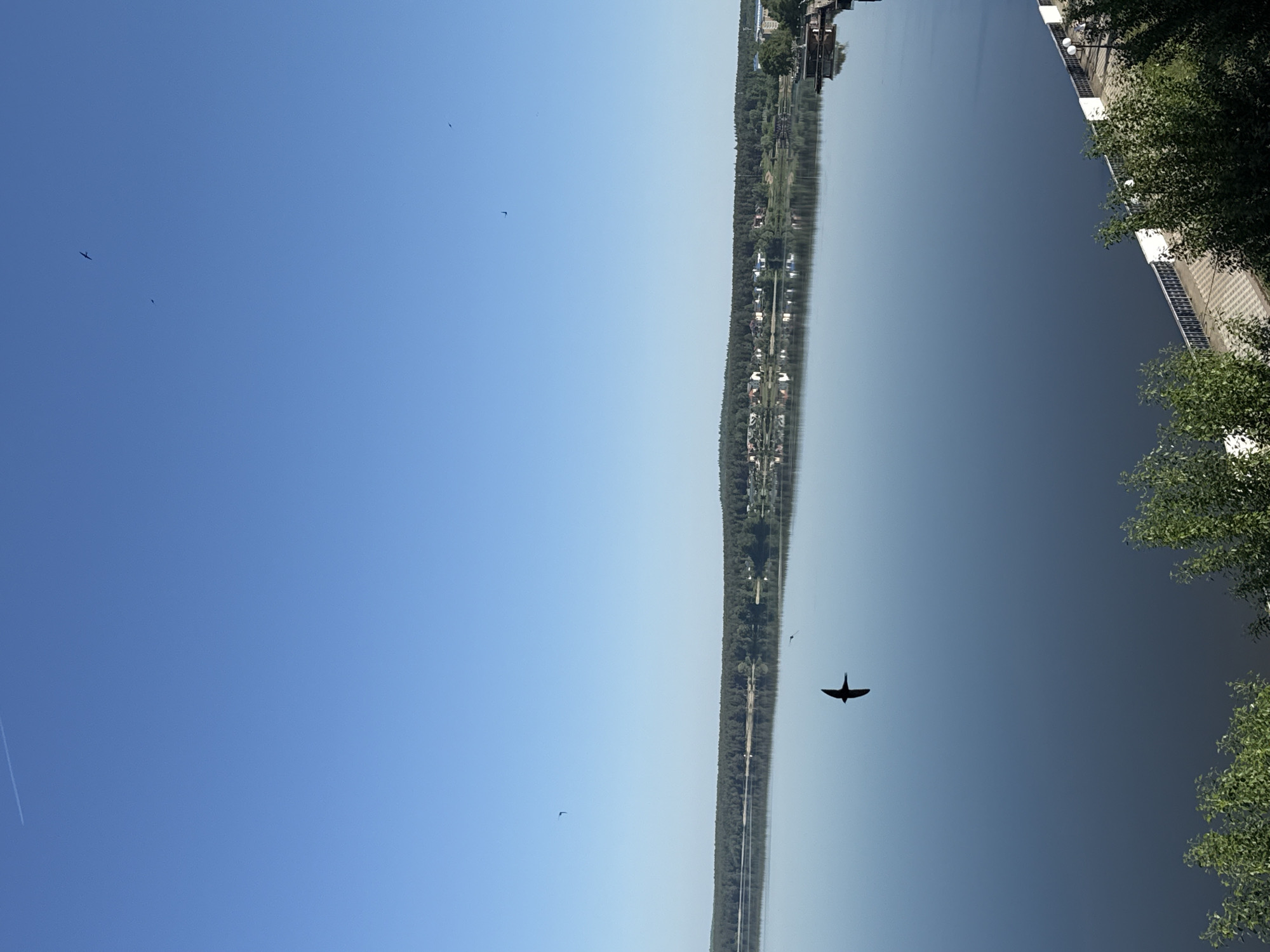 The image shows a view in Votkinsk, Russia. A long, narrow body of water stretches horizontally across the frame, reflecting the opposite shoreline. A dense strip of trees lines the water's edge, with buildings intermittently visible beyond. The sky above is clear blue, with a few small birds in flight. A large bird soars in the lower center of the image. On the right side is a paved area with foliage and a concrete barrier.