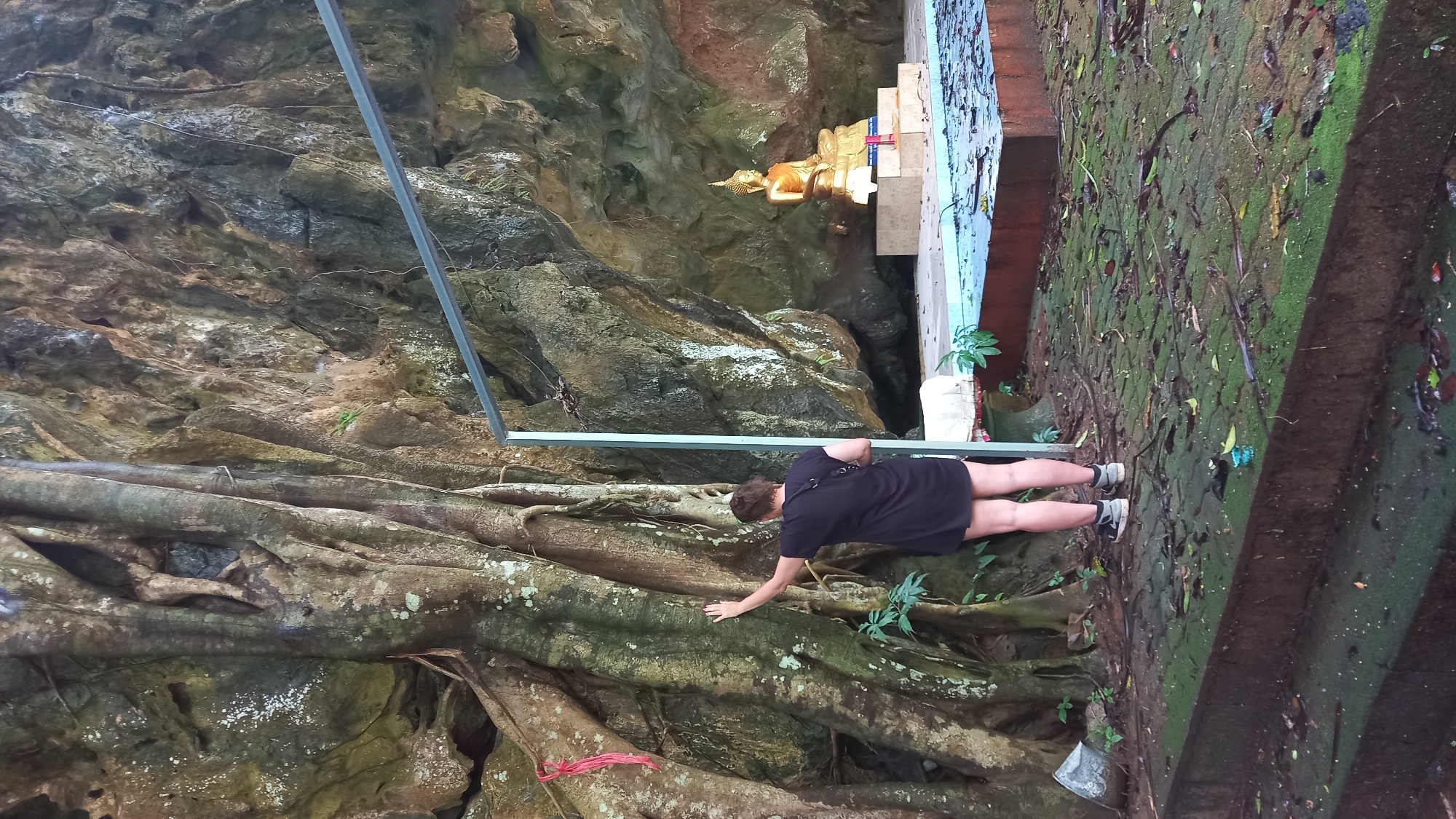 A person is standing near a cave in Ban Pak Ra, Thailand. They are wearing a dark-colored dress or shirt and sneakers. The person has one hand extended toward a large tree root system. In the background, a golden reclining Buddha statue is visible inside the cave. The cave walls are rocky and textured. The ground is covered in moss and foliage. A metal railing is also visible.
