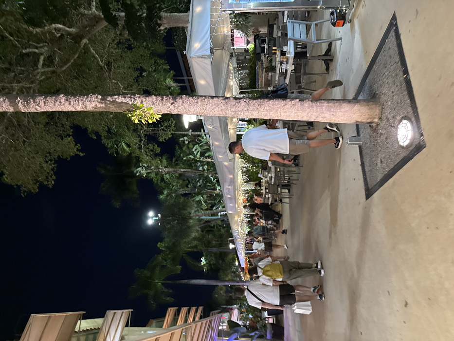 The image displays a nighttime scene on Lincoln Road Mall in Miami Beach, Florida, United States of America. A broad, light-colored pedestrian walkway occupies the foreground and mid-ground. To the right, an outdoor dining area operates under continuous white awnings, which are illuminated by numerous small string lights. The establishment's name, "Rosetta," is visible on these awnings. Tables with dark tops and grey chairs are arranged, occupied by multiple patrons dining or socializing.
On the left side of the walkway, a modern building with multi-tiered, light-toned architectural elements is partially visible. The scene is rich with tropical vegetation, including numerous palm trees and dense green foliage, particularly prominent in the background and along the restaurant's periphery. Streetlights are visible in the distance.
In the left foreground, two individuals walk away from the camera. The person on the left wears a white t-shirt, dark shorts, and sneakers, carrying a white shopping bag in their left hand. The person to their right wears a light-colored top, light-colored pants, and a yellow backpack. In the right mid-ground, a male subject in a white t-shirt, light shorts, and dark sneakers walks to the right, partially obscured by a large palm tree trunk. This palm tree is anchored in a square, dark-framed ground planter filled with grey gravel, featuring an integrated uplight at its base. The sky above is dark, indicating a clear night.