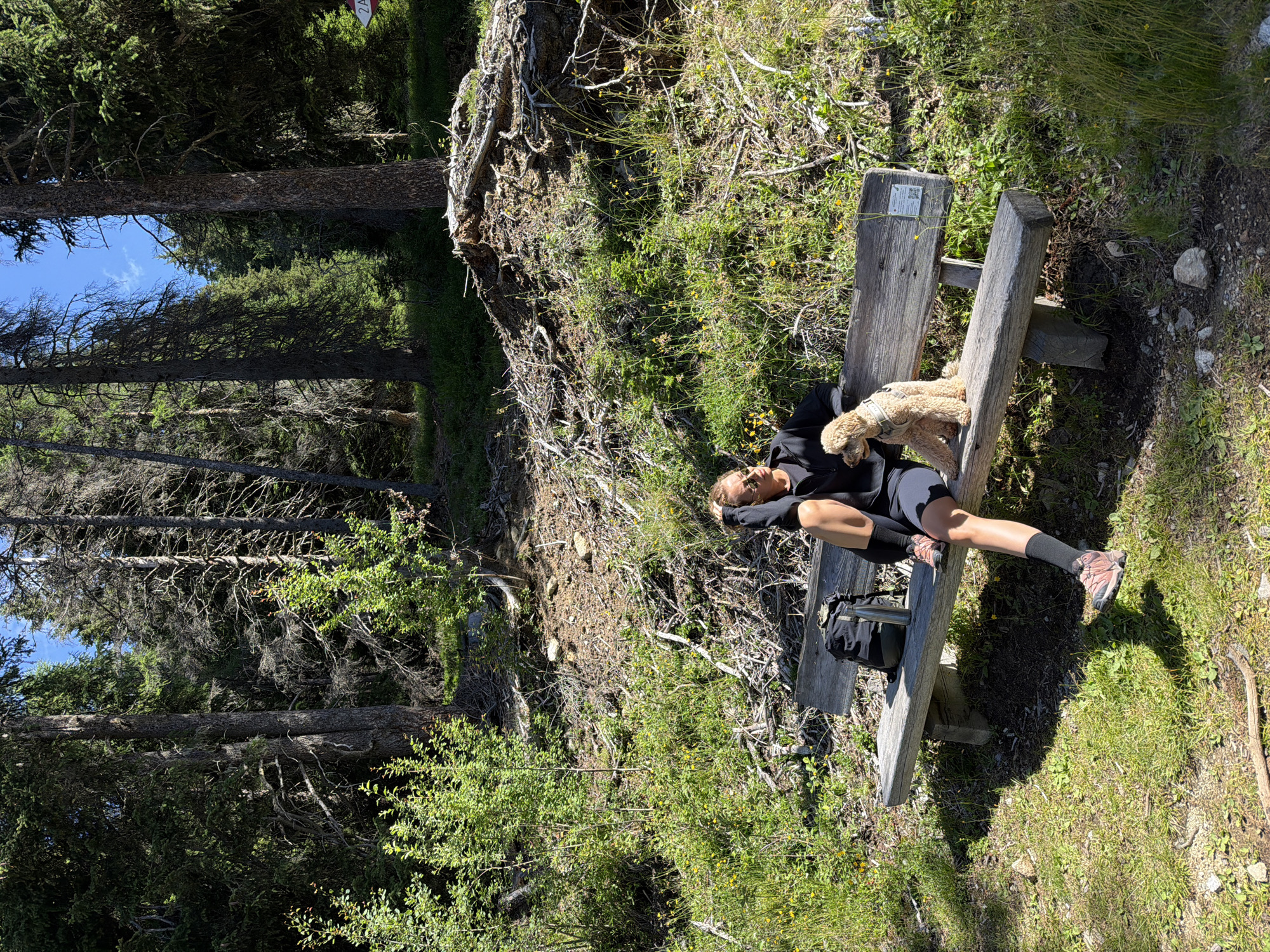 In the city of Mühlbach - Rio di Pusteria, Italy, a woman is sitting on a wooden bench in a forest. The woman is wearing a black zip-up hoodie, black shorts, grey socks, and hiking boots. She has sunglasses on and is holding her hand to her head. A light brown poodle is sitting next to her on the bench. A black backpack and a water bottle are on the bench to her left. The bench is in a clearing surrounded by tall trees and green foliage. The ground is covered in grass, dirt, and fallen branches. The sun is shining, casting shadows on the ground.