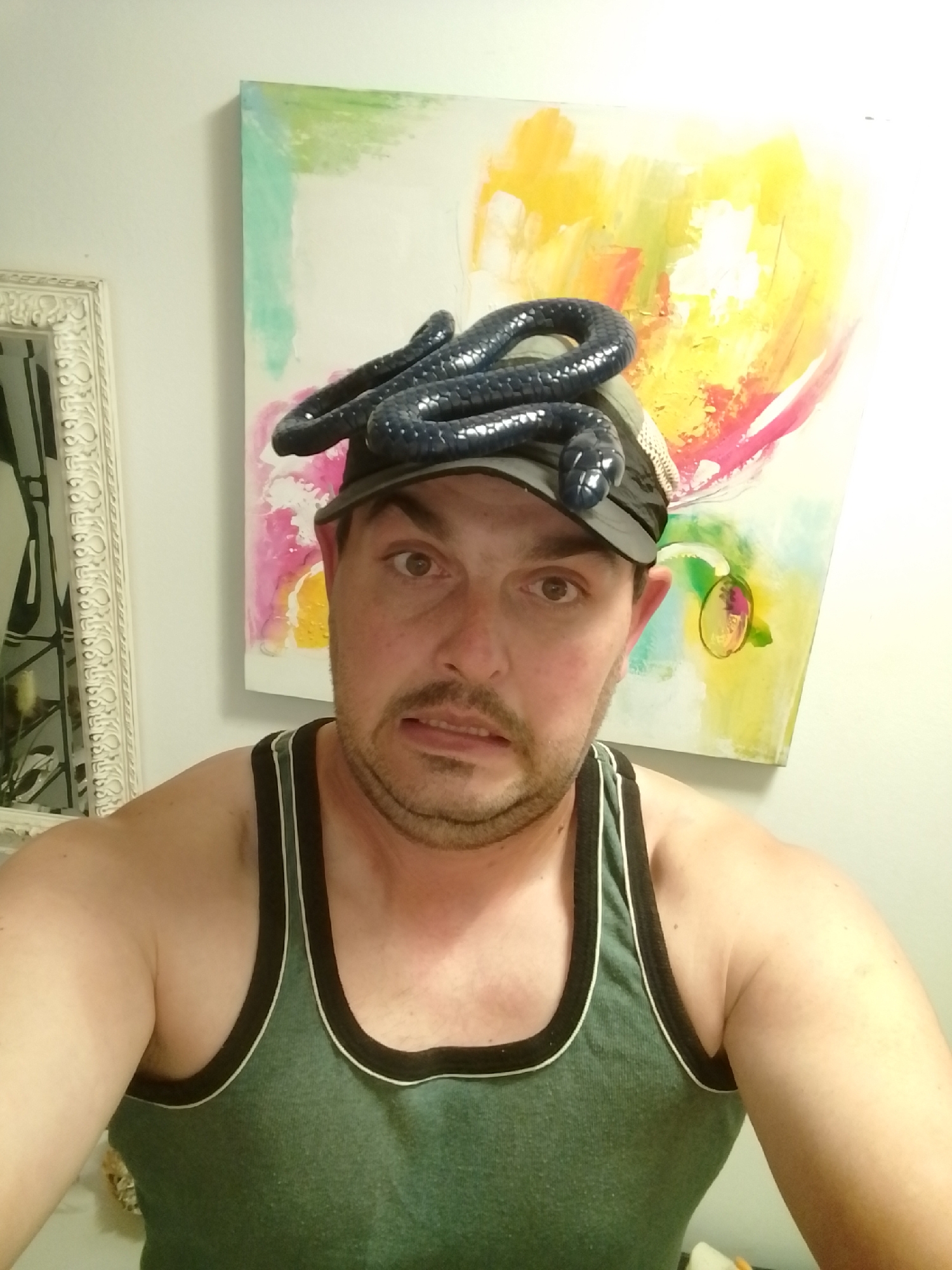 A Caucasian man with a goatee and eyebrows raised is pictured in a selfie. He is wearing a green tank top and a black baseball cap. A dark, coiled toy snake is draped over the baseball cap and onto his head. He has a contorted facial expression, with his mouth slightly open. Behind him is a brightly colored abstract painting on a white wall, and a decorative white-framed mirror is visible to his left. The lighting suggests an indoor environment, possibly a bathroom or bedroom. There is no information available about the specific location in the city of Wedel, Germany.