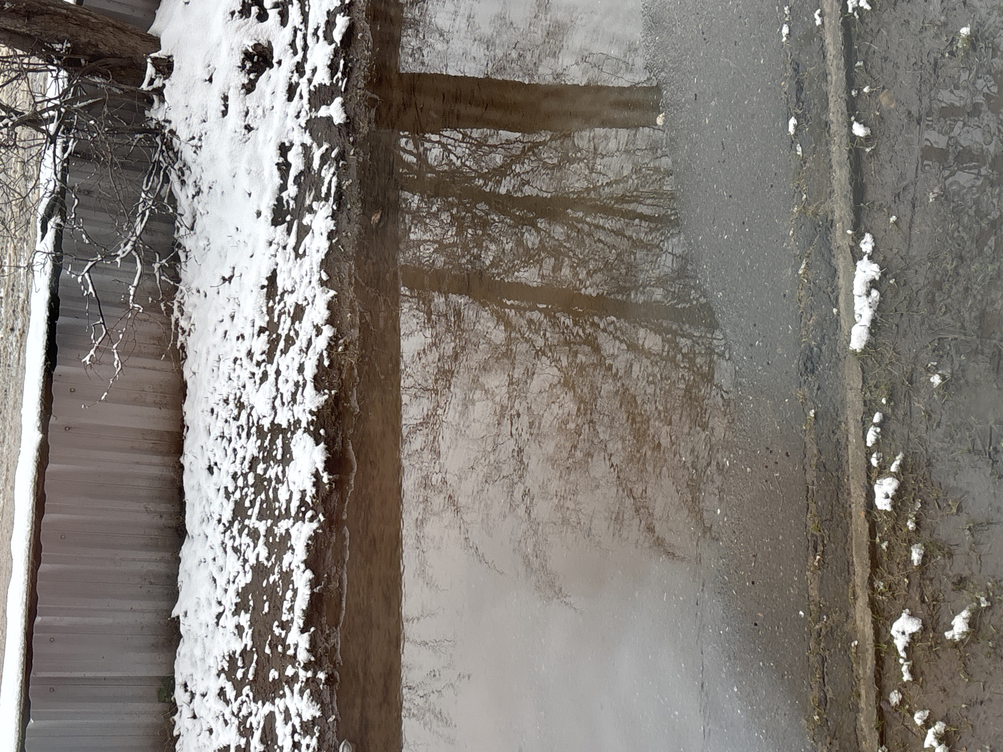 A winter scene in Chaikovsky, Russia, depicts the reflection of bare trees in a body of water, potentially a puddle or river. The foreground features a snowy embankment or bank. To the left is a metal fence or structure, also dusted with snow. Patches of snow are scattered on the muddy ground in the lower right. The overall tone is subdued, reflecting a cold and possibly overcast day. No people or animals are visible.