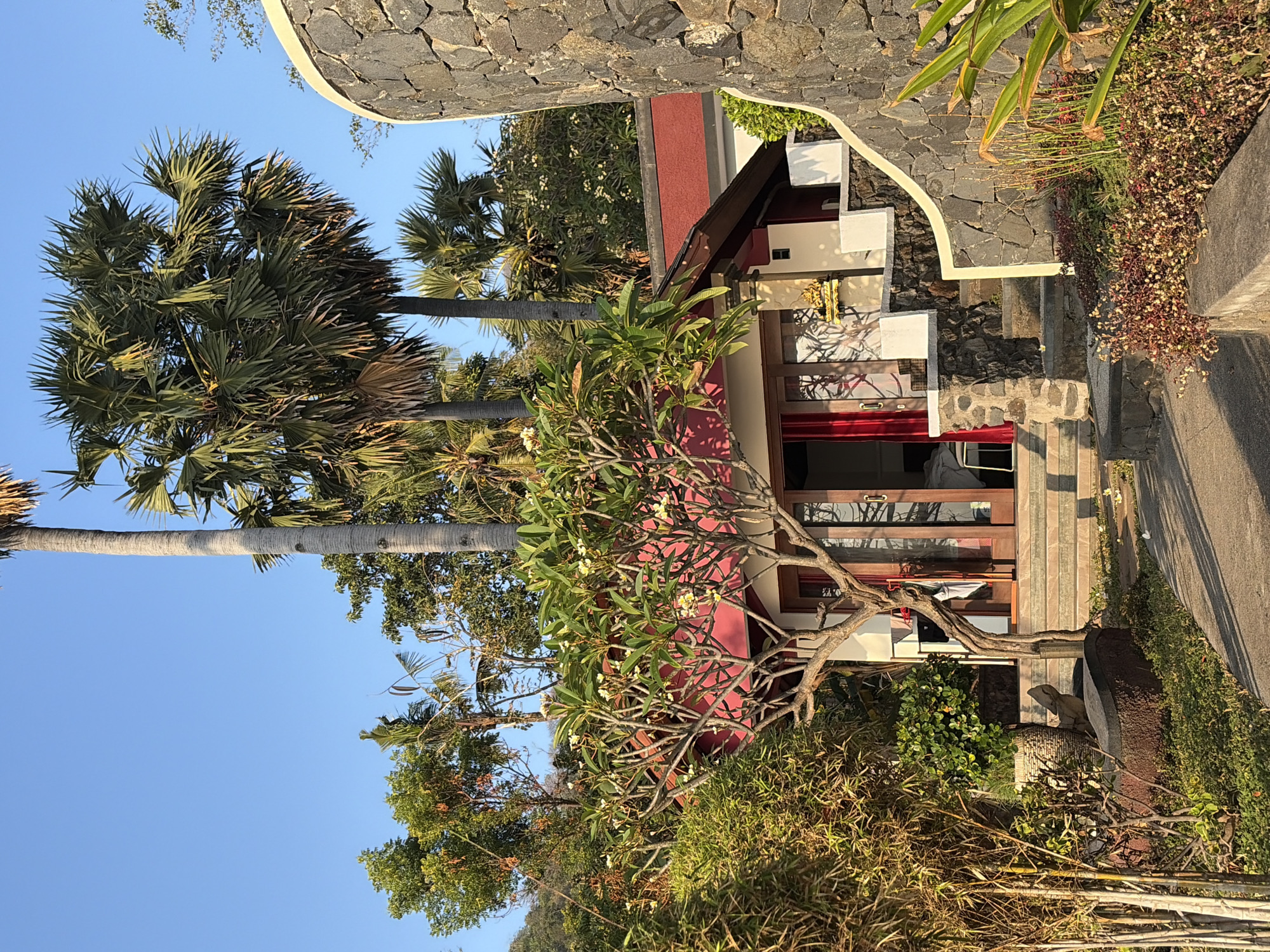 This image depicts a tranquil outdoor scene in Abang, Indonesia, bathed in the warm glow of sunlight. In the foreground, a pathway made of concrete winds through lush green grass and a variety of plants, including bamboo stalks and a small tree with white flowers. A low, dark stone wall borders the pathway, topped with a vibrant patch of reddish-purple and yellow flowers. To the right, a large, curved wall constructed of dark, irregularly shaped stones rises, framing the scene.
Behind the pathway and to the left, a small, single-story building with a red-tiled roof is partially visible. The building features a light-colored facade and large glass doors that reveal a glimpse of red curtains inside. A short flight of stone stairs leads up to the building's entrance, flanked by stone walls and white trim. A decorative golden statue is placed on a ledge beside the entrance.
Dominating the background are tall palm trees with their distinctive fronds reaching towards a clear blue sky. The presence of these tropical trees, combined with the architectural style of the building and the lush vegetation, strongly suggests a location in a warm, tropical climate, consistent with Abang, Indonesia. The overall atmosphere is one of peaceful serenity and natural beauty.