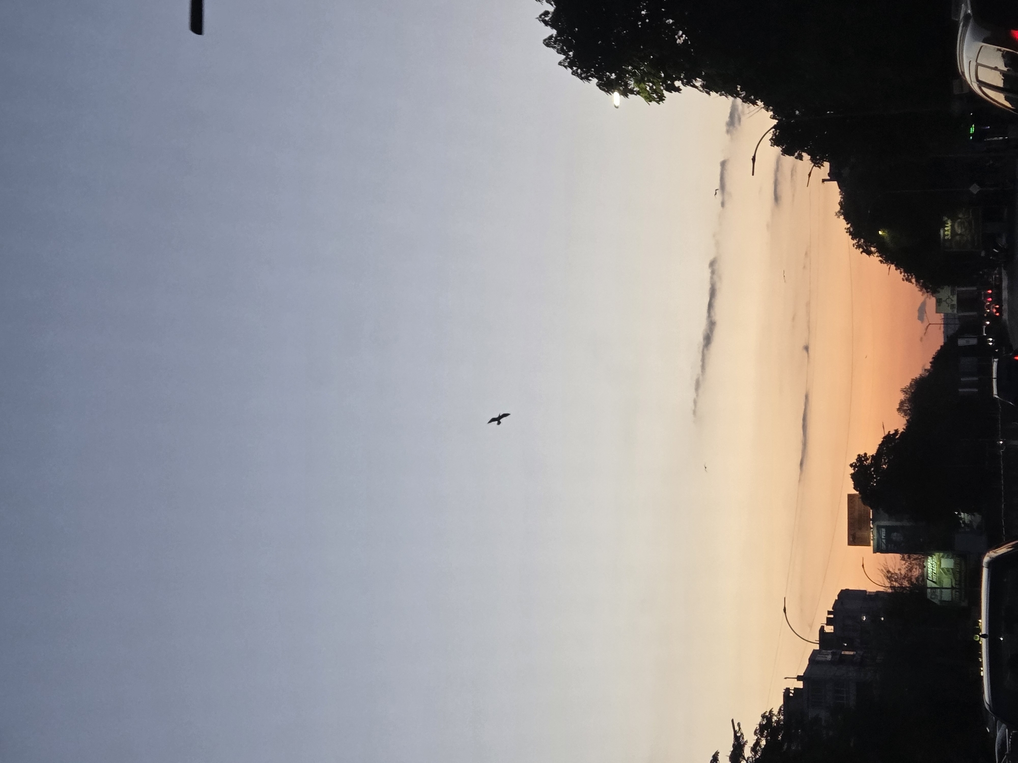 The image depicts a street in Varna, Bulgaria at sunset. The sky transitions from a light blue-gray to an orange hue near the horizon. A bird is visible in flight within the frame of the sky. The street is lined with buildings and trees. A few cars are visible. The image is rotated at 90 degrees.