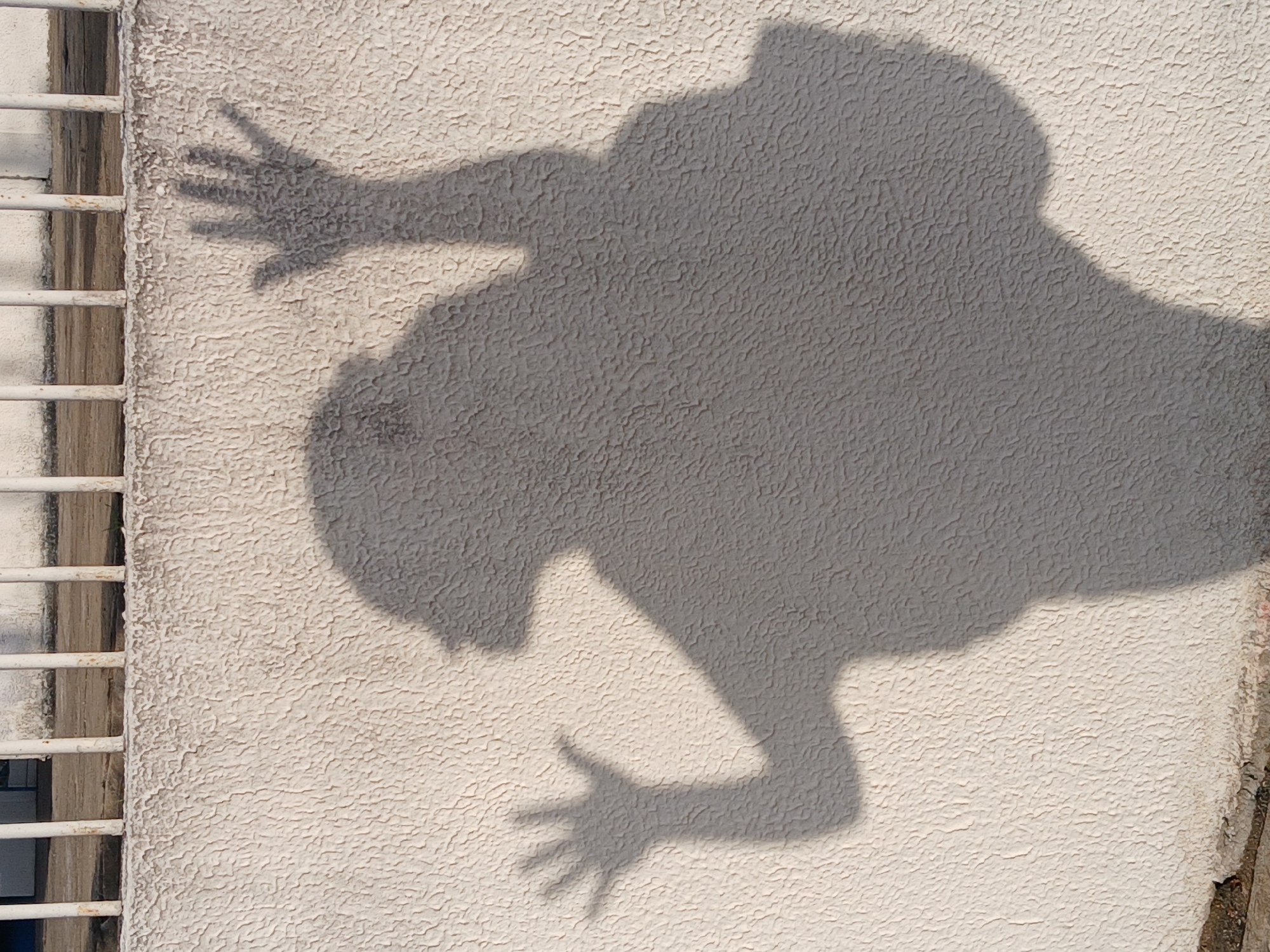 An outdoor, close-up shot captures a prominent, dark gray shadow of a person cast upon a light-colored, heavily textured wall. The shadow dominates the frame, depicting a figure in a dynamic pose, possibly crouching or leaning, with both arms extended and fingers splayed open against the wall. A large, rounded shape appears above the figure's head, contributing to the abstract, almost creature-like form of the shadow.
To the left of the frame, a series of horizontal white metal bars are visible, bordering the textured wall. These bars appear to be part of a window grate or security fence, partially obscuring a darker, recessed background. The sharp, well-defined edges of the shadow indicate bright, direct sunlight, suggesting the photograph was taken during a clear, sunny day, likely mid-day or early afternoon. The rough, stucco-like texture of the wall is clearly visible, adding depth and detail to the surface on which the shadow is cast. There is no visible text. The scene is located in Ciudad Guayana, Venezuela.