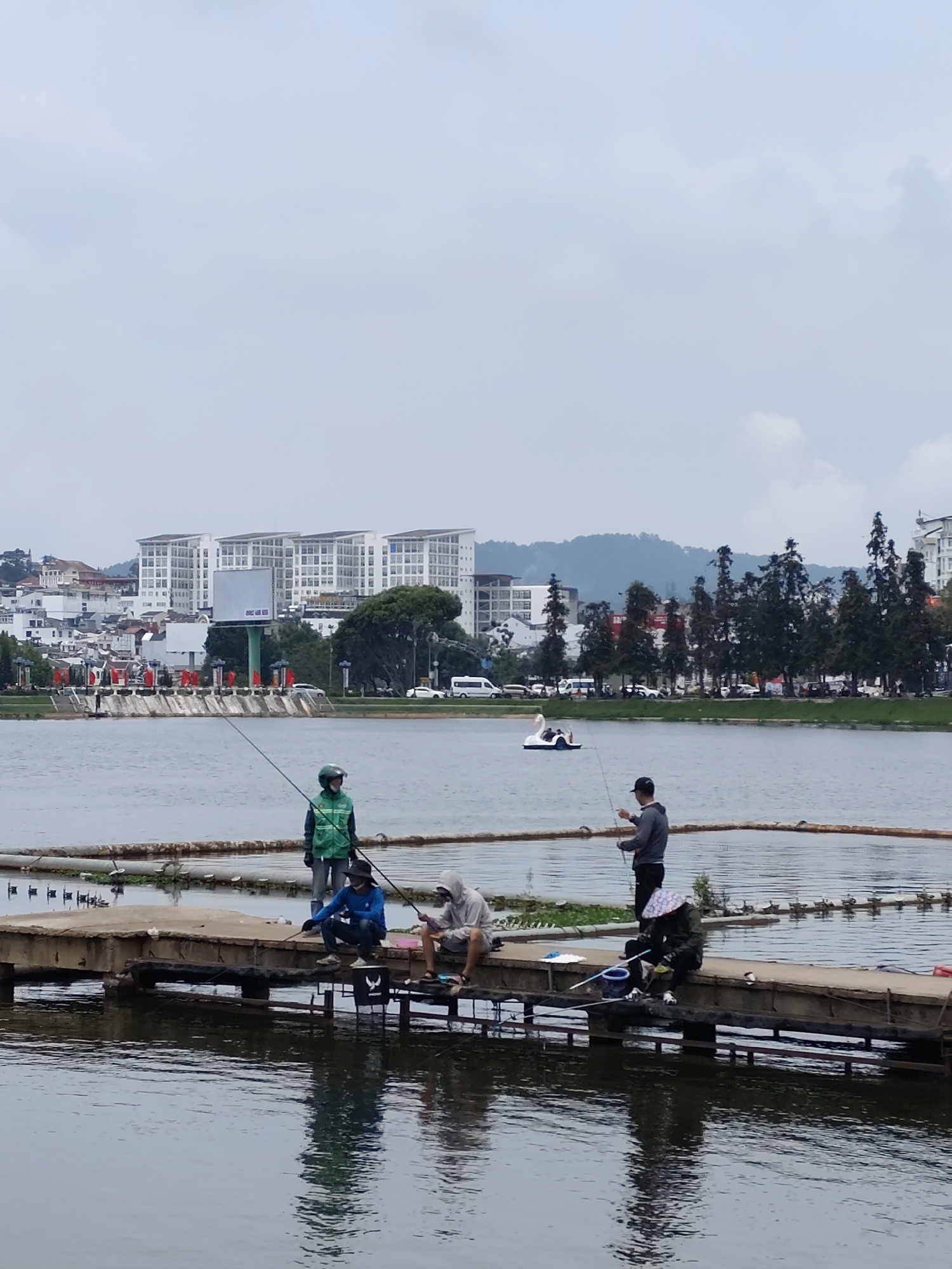 This image captures a serene, overcast daytime scene of recreational fishing on a large lake in Da Lat, Vietnam. The sky is a uniform light grey, indicating cloudy weather, and the lake's surface is calm, mirroring the muted light.
In the immediate foreground, a group of five individuals are seen fishing from a rustic wooden or concrete pier that extends into the water. From left to right: one person stands wearing a distinctive green uniform and a matching helmet, holding a fishing rod; next to them, another person is seated, clad in a blue long-sleeved top, also fishing. Further along the pier, a third individual sits in a light-colored hooded garment. A fourth person stands, dressed in a dark grey hoodie and a baseball cap, casting a line. On the far right, a fifth person is seated, wearing a dark jacket and a wide-brimmed, patterned sun hat, seemingly attending to fishing gear or bait, with a white bucket featuring a dark logo nearby.
In the mid-ground, a white swan-shaped pedal boat carrying two people gently glides across the lake. The background features a vibrant urban landscape: several modern, multi-story white buildings with numerous windows rise on distant hills, suggesting hotels or residential complexes. To the left, a dam or weir is visible, decorated with a series of red flags. A busy road lines the far bank of the lake, with cars and a white van present, and a row of tall, dark evergreen trees separates the road from the water. A large billboard on a green support structure stands within the cityscape, though its text is not legible.
The scene conveys a peaceful atmosphere, with individuals enjoying a quiet pastime amidst a blend of natural scenery and urban development.