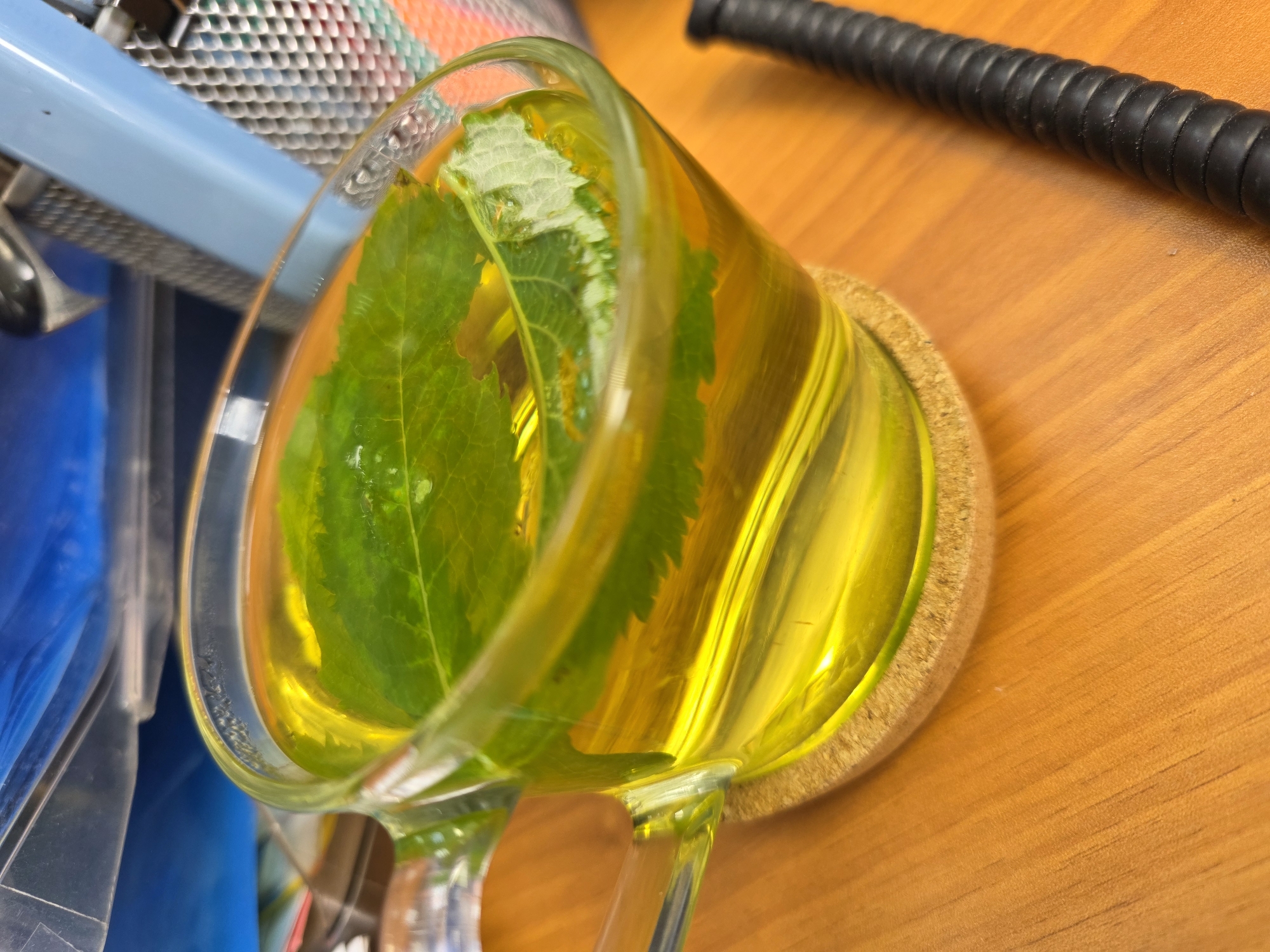 A glass mug filled with a yellowish liquid and green leaves is placed on a cork coaster on a wooden surface. In the background, a blue object and a metal grater are visible. To the right of the mug, a black, ribbed object lies on the surface. The scene appears to be indoors, likely on a desk or table in Chaikovsky, Russia.
