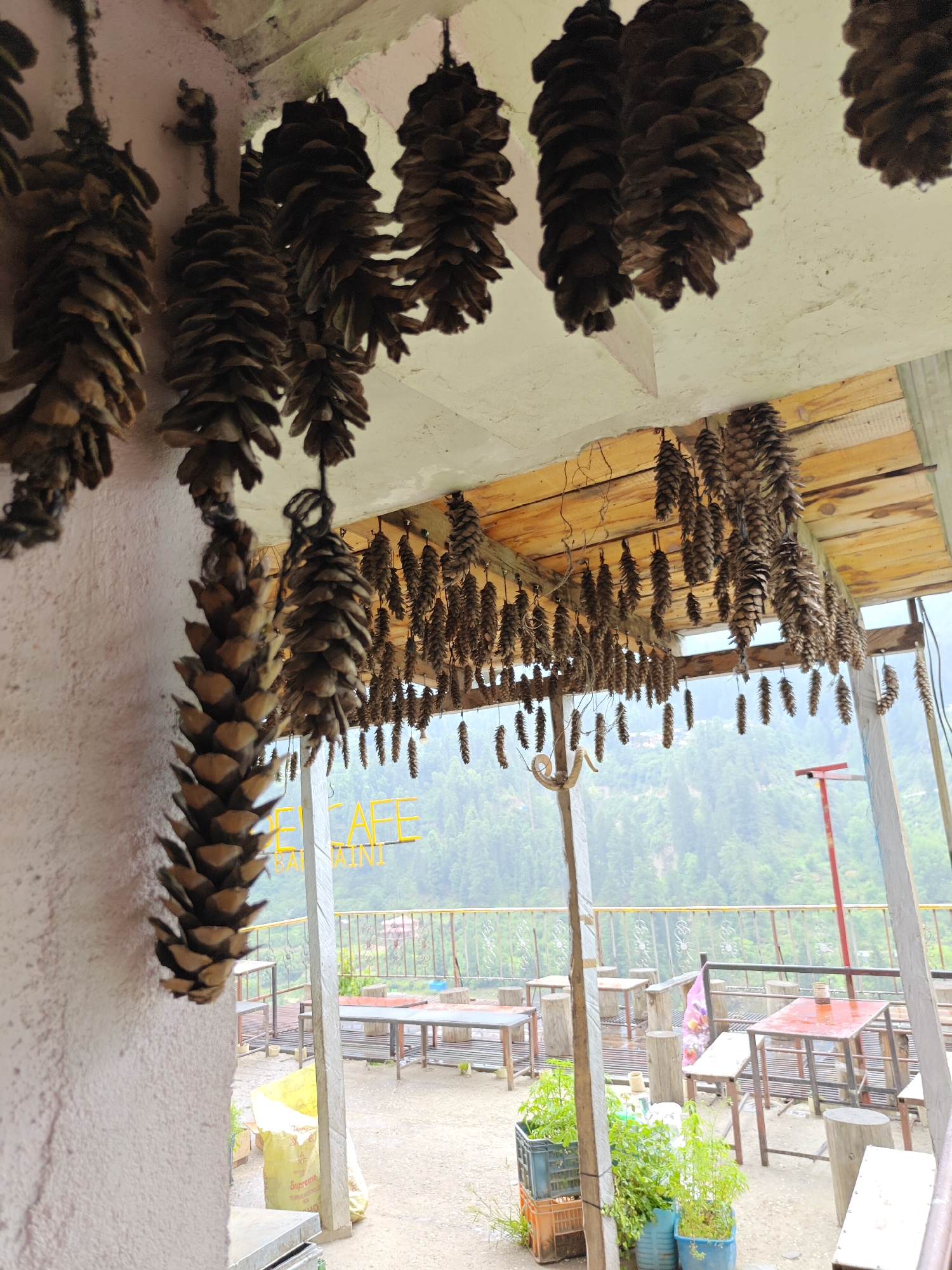The image captures an outdoor cafe or restaurant patio nestled in a mountainous region, characteristic of Pulga, India. The most prominent feature is the extensive ceiling decoration: hundreds of dark brown pinecones of various sizes are strung vertically by twine and hang from a wooden-paneled overhang. Some pinecones are also suspended from a concrete ceiling on the left.
The patio features rustic seating arrangements, including several metal tables with wooden tops, accompanied by metal stools and natural tree stump seats. Potted plants, some in blue containers and others in plastic crates, add greenery to the foreground. A light-colored, textured wall runs along the left side of the frame.
Beyond the patio, a decorative metal railing separates the dining area from a breathtaking view of lush, green mountains covered in dense forest, suggesting an elevated vantage point. The weather appears overcast or misty, indicating a damp or humid environment, typical of hill stations. The time of day is daytime, but without direct sunlight.
Visible text includes a neon yellow sign in the background spelling "PEL CAFE" with "BAINI" underneath, partially obscured by a hanging pinecone. A yellow bag on the patio near the wall has the word "Supreme" printed on it. There are no people visible, suggesting a quiet moment at the cafe.