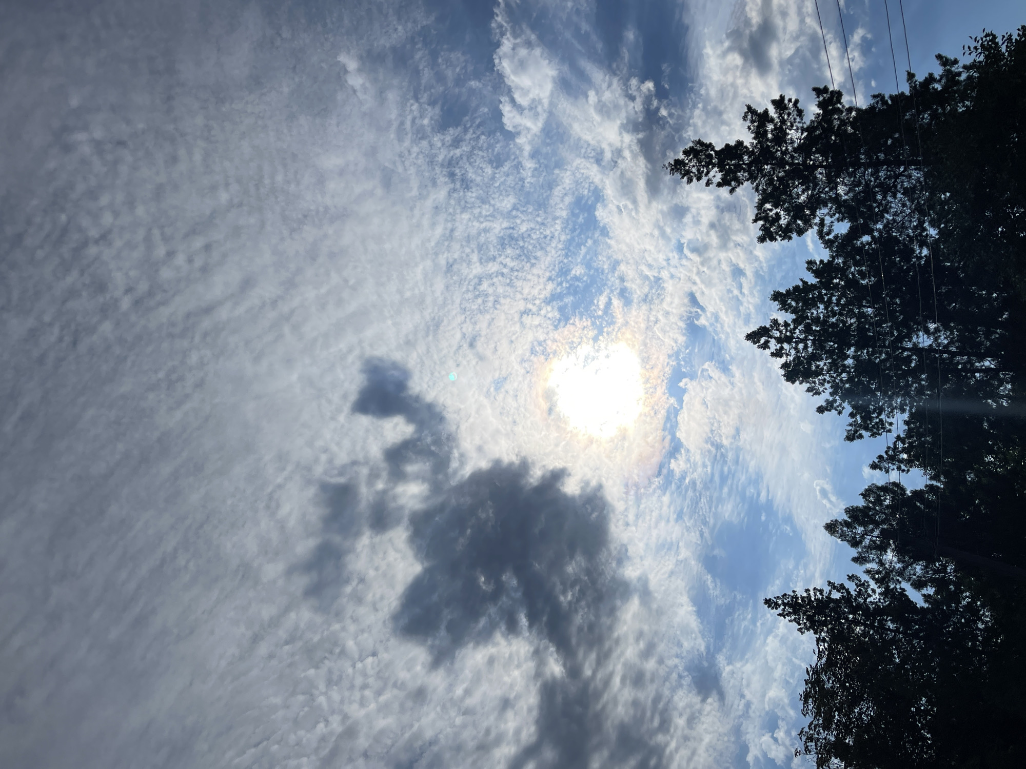 The image depicts a sky filled with clouds and the sun. The sun is visible in the center-left of the frame, casting a bright light and creating a halo effect. There are dark, wispy clouds to the left of the sun, and lighter, scattered clouds across the rest of the sky. The lower portion of the image shows the silhouettes of several evergreen trees against the sky. A few power lines are also visible stretching horizontally across the trees. The scene appears to be outdoors.