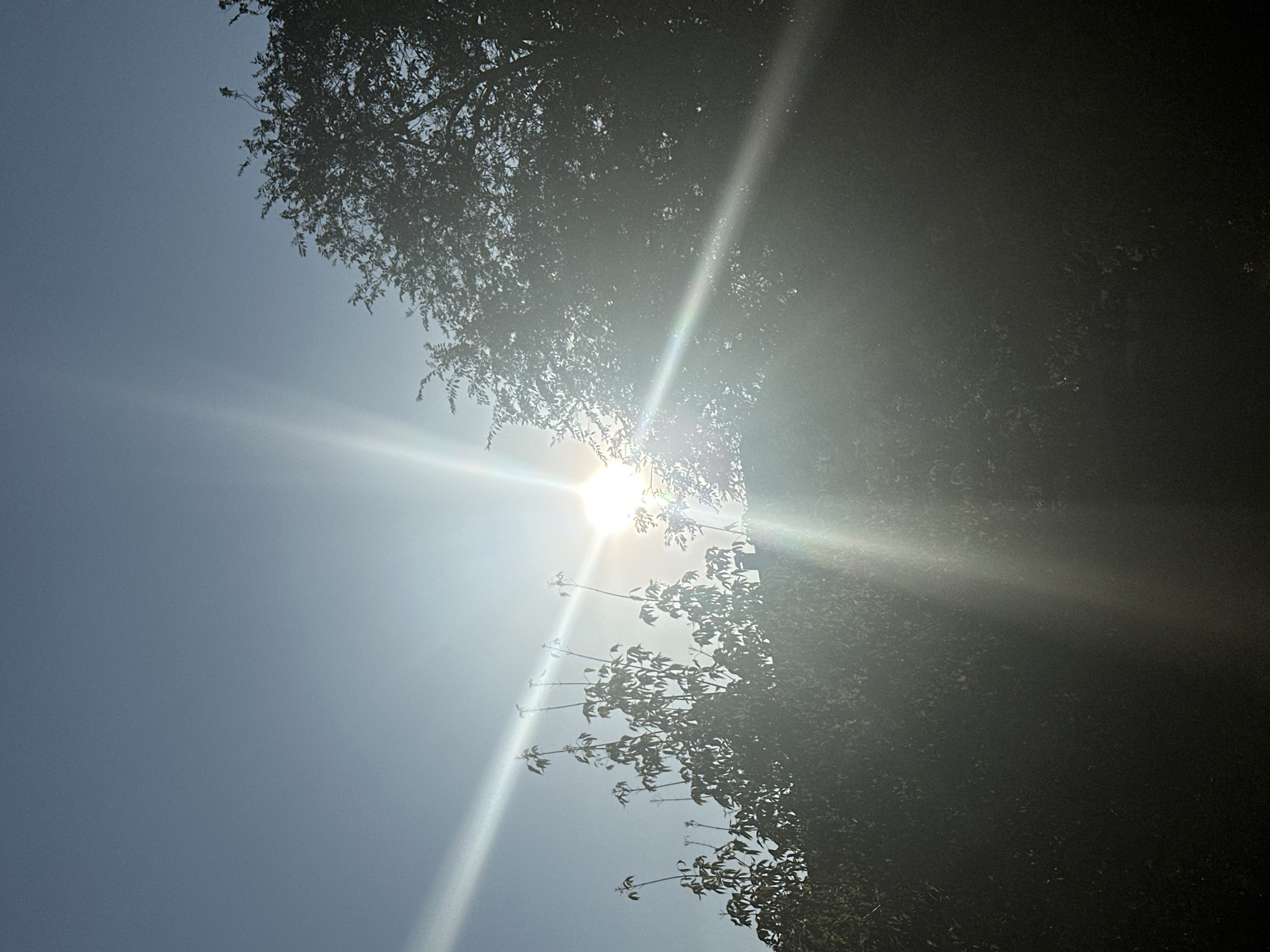 The image depicts a bright sun shining through the branches of trees against a clear blue sky. The sun is positioned in the upper center of the frame, emitting strong rays of light that create a lens flare effect across the image. Silhouettes of lush green trees are visible in the foreground and on the right side of the image, with the sun partially obscured by their leaves and branches. The overall impression is one of a sunny day, likely outdoors. The location in Energetik, Russia is not discernible from the visual content of the image itself. There are no people or specific actions depicted.