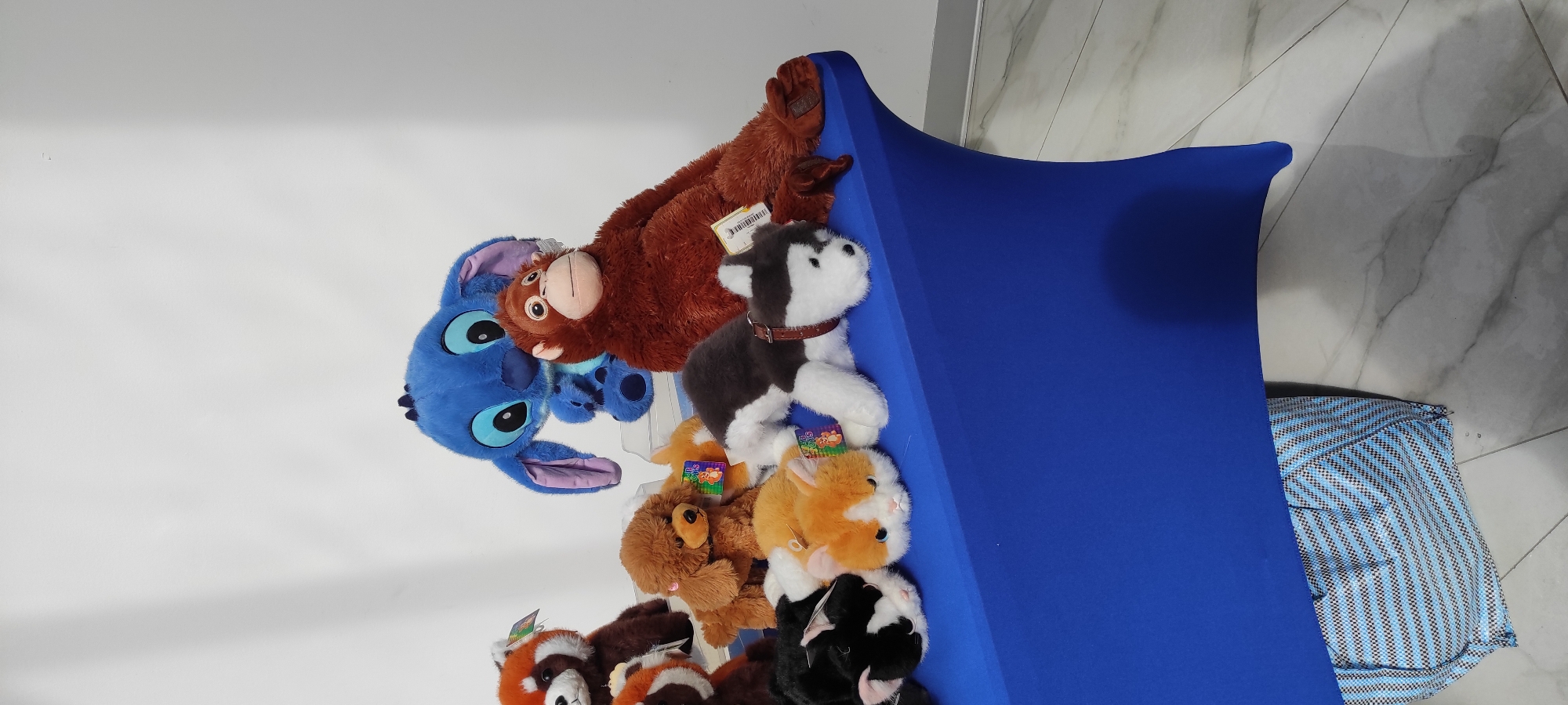 A collection of stuffed animals is displayed on a blue table. The stuffed animals include a blue Stitch, a brown monkey, a red panda, a brown poodle, a black and white cat, an orange and white cat, and a black and white husky. The table is covered with a blue tablecloth. The background is a white wall. Underneath the table is a blue and white striped bag. The scene is set in an indoor environment, possibly a store or a fair. The floor appears to be tiled.
