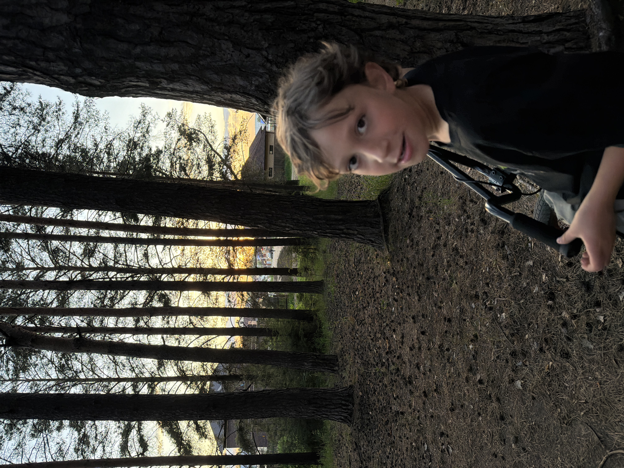 This image, rotated 90 degrees counter-clockwise from its intended upright orientation, portrays a young boy within a pine forest in Chaikovsky, Russia, likely during sunrise or sunset. When viewed correctly, the boy is on the right side of the frame. He has light brown, messy hair and wears a black t-shirt and light-colored pants. He looks directly at the camera with a curious expression and a slight smile, holding the black handlebars of what appears to be a bicycle or scooter.
The setting is characterized by numerous tall, dark-barked pine trees that line a path or open area, with the ground covered in dark brown pine needles and sparse undergrowth. In the background, the warm, golden light of the sun filters through the trees, illuminating the distant horizon and revealing glimpses of houses or buildings beyond the tree line. The clear sky suggests fair weather. No text is visible in the image. The scene captures a moment of outdoor activity in a serene natural environment.