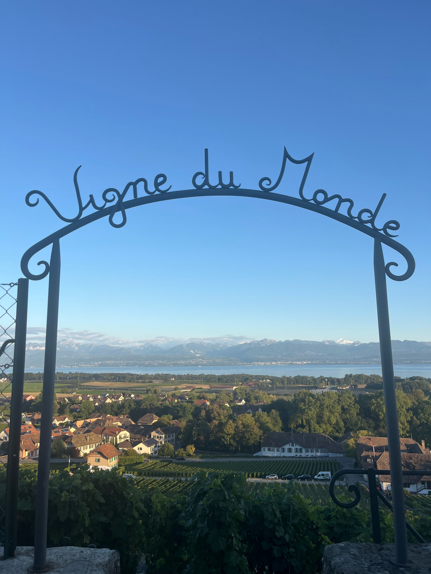 An eye-level, vertical, wide shot captures a serene view of Féchy, Switzerland, from a vineyard. A black wrought-iron archway, inscribed with "Vigne du Monde," frames the scene. Beyond the archway, a village with red-roofed houses nestles amidst lush green trees. A tranquil lake stretches across the middle ground, bordered by a distant mountain range capped with snow under a clear blue sky. The foreground is dominated by verdant grapevines, their leaves catching the sunlight. A few cars are parked on a road winding through the village. The image appears to have been taken on a bright, sunny day.