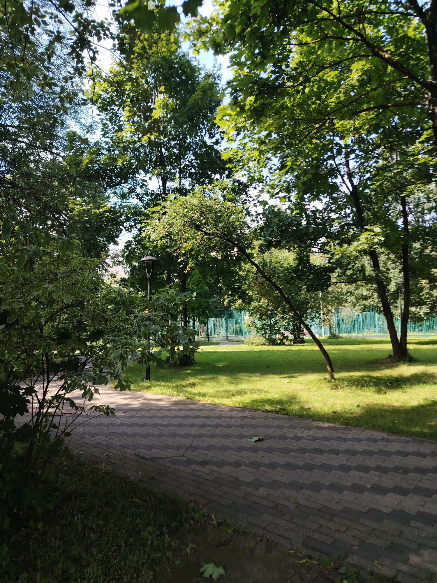 The image shows a paved walkway in a park or public garden. The walkway is made of interlocking dark and light grey rectangular pavers arranged in a repeating zig-zag pattern. To the left of the walkway is an area of dense green foliage, including bushes and grass. To the right of the walkway is a well-maintained lawn dotted with trees. In the background, a light green metal fence runs horizontally across the scene, behind which are more trees and buildings. A single street lamp with a dark metal pole and a bell-shaped light fixture stands on the lawn. The trees are lush and green, with sunlight filtering through their leaves, casting shadows on the grass. The sky is visible through the canopy of leaves and appears to be a clear blue. The overall impression is of a peaceful, green urban environment, likely a public park in Zelenograd, Russia, given the context.