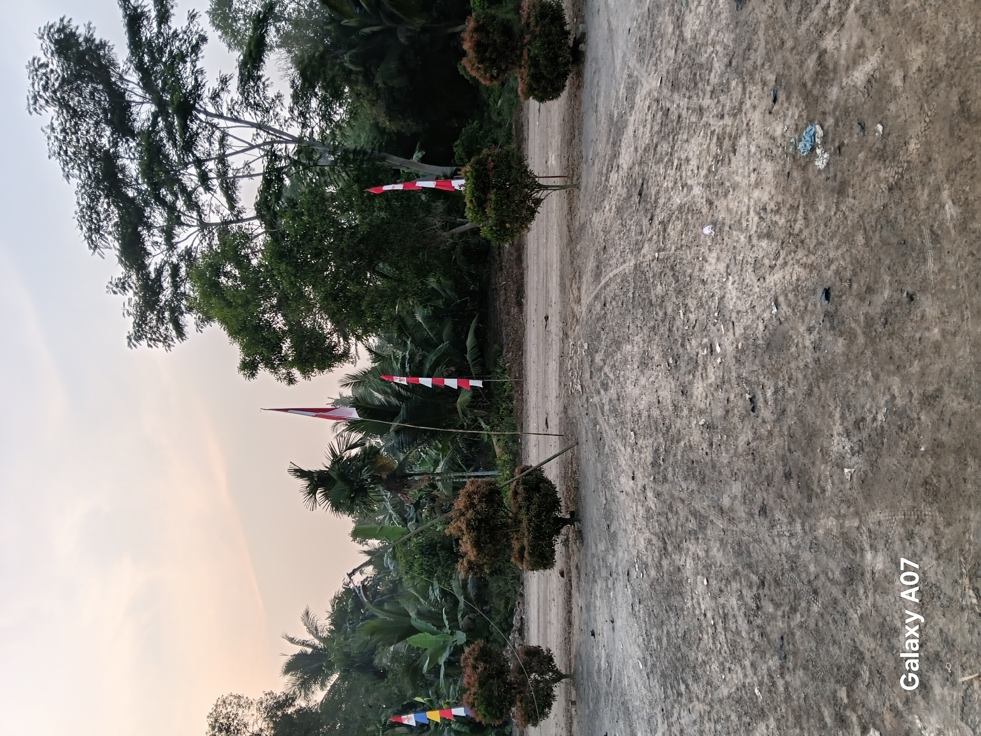 The image shows an outdoor scene with a dirt road and vegetation. In the background, there are several trees and palm trees. The sky is overcast with some light filtering through. In the foreground, there is a dirt road with tire tracks. There are four small, manicured bushes planted in a line along the road. There are also several Indonesian flags displayed on poles along the road. The flags are red and white, with some featuring a banner of yellow and blue. The scene appears to be in a rural or semi-rural area of Margo Rukun, Indonesia. The lighting suggests it is either early morning or late afternoon. There are no people visible in the image. The overall impression is one of a quiet, somewhat undeveloped area.