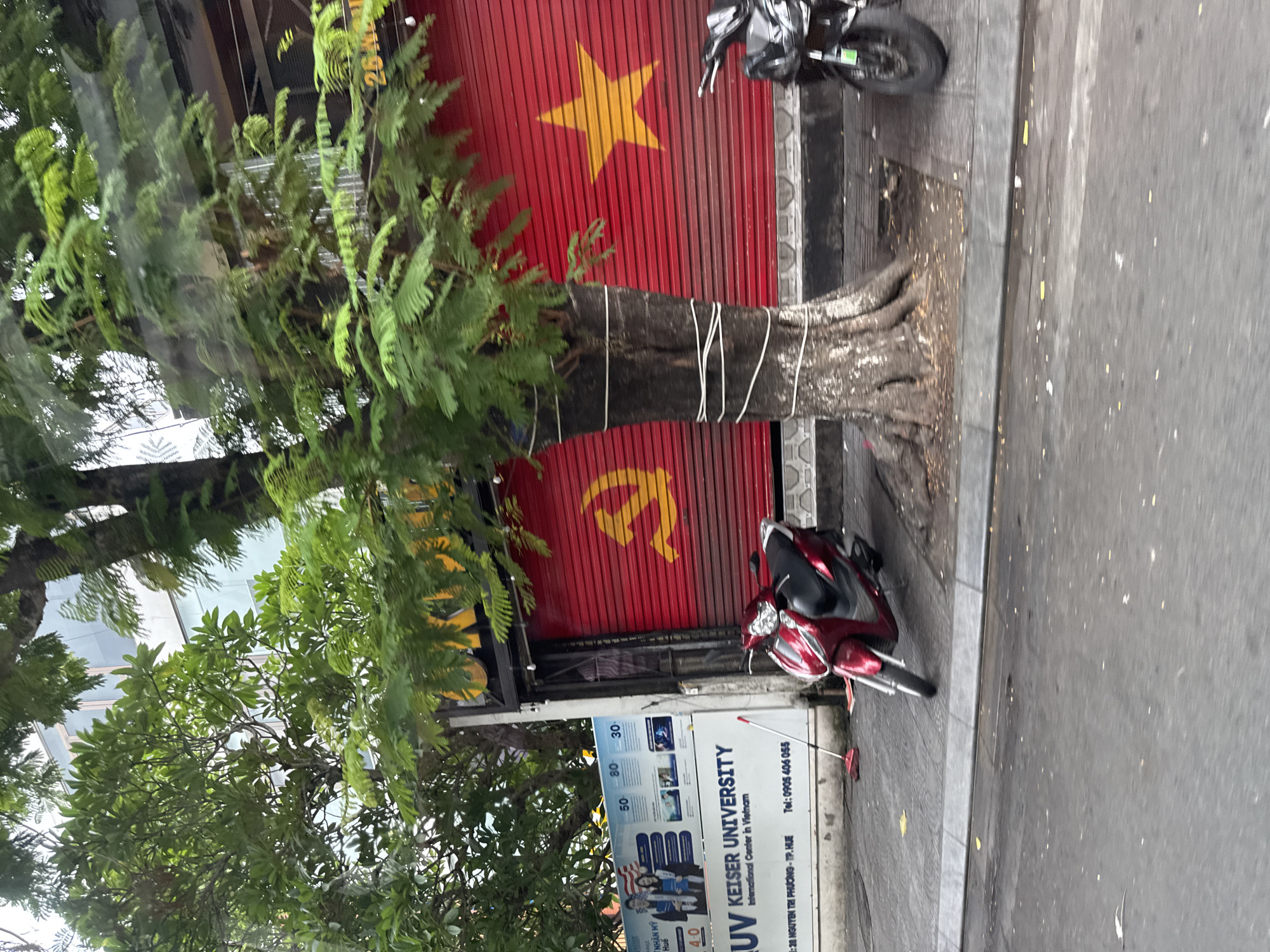 A red roller door with a yellow star and hammer and sickle symbol is visible, indicating a building in Thuận Hóa Ward, Vietnam. A mature tree with white ropes wrapped around its trunk stands in front of the door. A red and black scooter is parked to the left of the tree, and a black scooter is parked to the right, partially obscured by the tree. A white banner with text and images is mounted on a pole to the left of the door. A red broom leans against the wall to the left of the scooter. The ground is paved with grey tiles, and a grey curb separates the sidewalk from a wet, grey asphalt road. Green foliage from trees is present in the upper portion of the image.