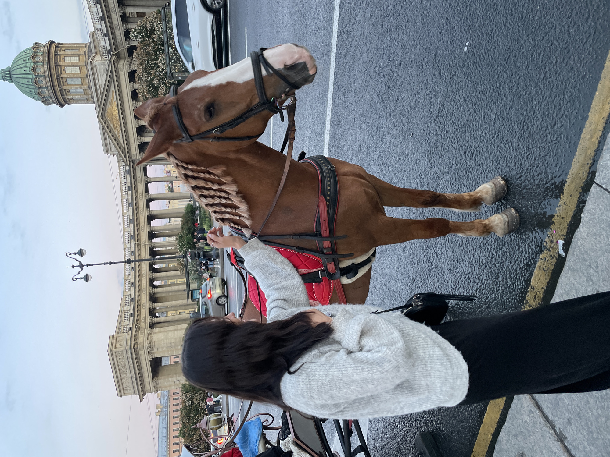 A woman with long dark hair, wearing a light grey textured sweater and a long black skirt, is standing on a wet asphalt street in Saint Petersburg, Russia. She is gently touching the mane of a brown horse. The horse is wearing a red saddle pad and a black bridle, and its mane is braided. In the background, the iconic Kazan Cathedral with its green dome and colonnades is visible, along with a lamppost and traffic, including a white car driving on the road. The street is marked with yellow lines. The sky is overcast with a soft, dusky light.