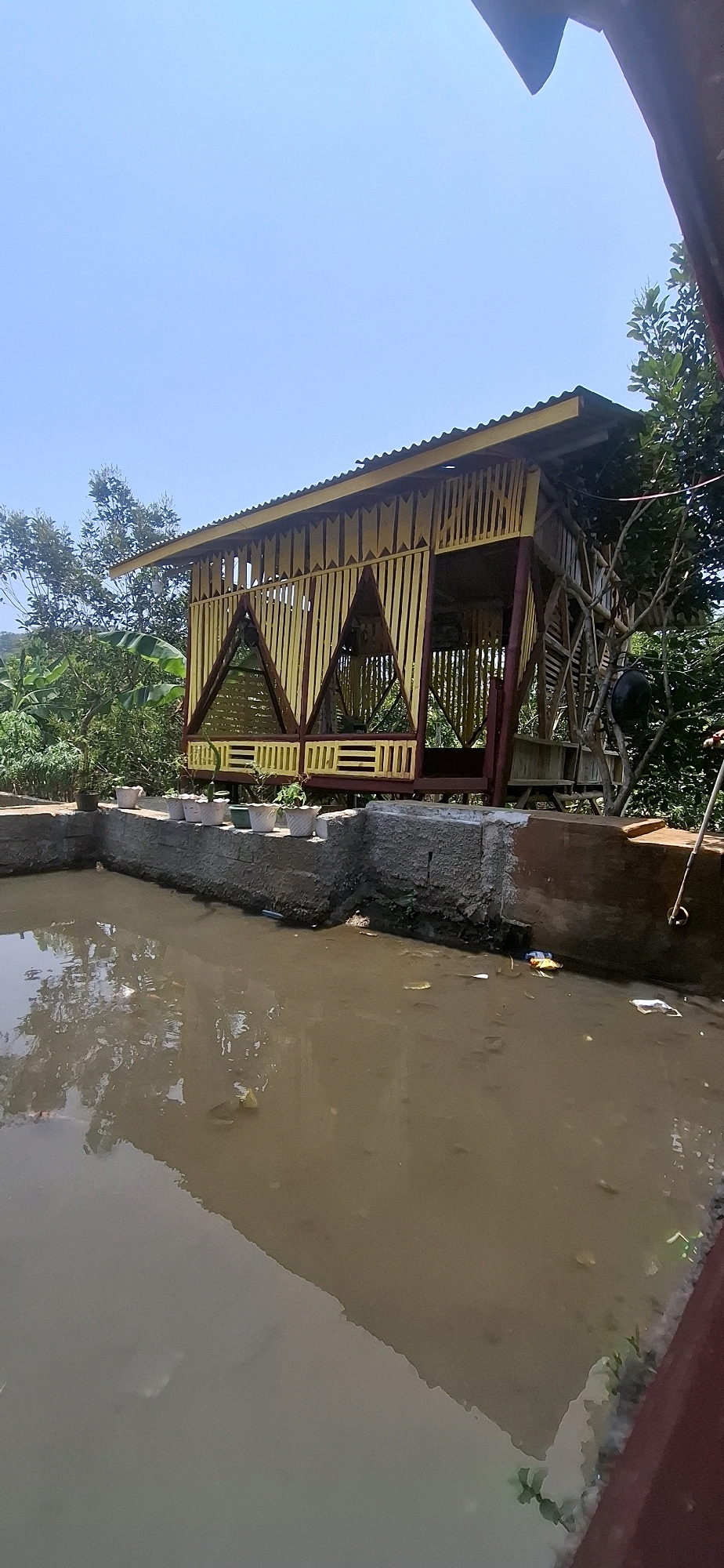 A rustic, open-sided wooden gazebo, painted in alternating shades of yellow and dark red, stands on a raised platform overlooking a murky, shallow body of water. The gazebo has a corrugated metal roof and features decorative triangular patterns on its sides, constructed from thin wooden slats. Several potted plants, likely decorative, are arranged in a line along the edge of the platform. The water appears stagnant and contains visible debris, including plastic waste. The surrounding environment is lush with tropical vegetation, including banana leaves and trees, suggesting a rural or semi-rural setting. The sky above is clear and blue. The scene is situated in Cilaku, Indonesia.