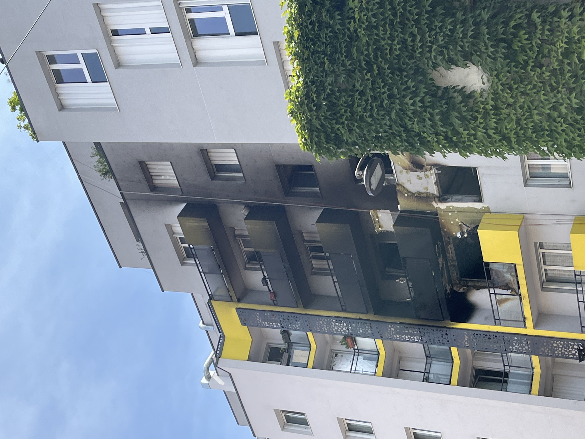 The image shows a close-up of a multi-story apartment building, likely in Paris, France, after a fire. The left side of the building is white, with several windows and balconies. The center section of the building is characterized by a prominent yellow vertical stripe. To the right of this stripe, a section of the building appears to have been severely damaged by fire, with dark soot stains and exposed interior walls. Several balconies on this blackened section show signs of fire damage, including discolored and melted materials. One balcony on the third floor from the bottom has a visible opening into the apartment, revealing the extent of the interior damage. A person, possibly a firefighter in a white helmet, is visible on this damaged balcony, appearing to survey the scene or engage in recovery efforts. A street lamp is mounted on the exterior wall near the damaged section. The right side of the building is painted a light grey and features windows with white vertical blinds, suggesting undamaged portions of the structure. A dense wall of green ivy covers a significant portion of the lower right section of the building, obscuring some of its features. The sky above is a clear, light blue.