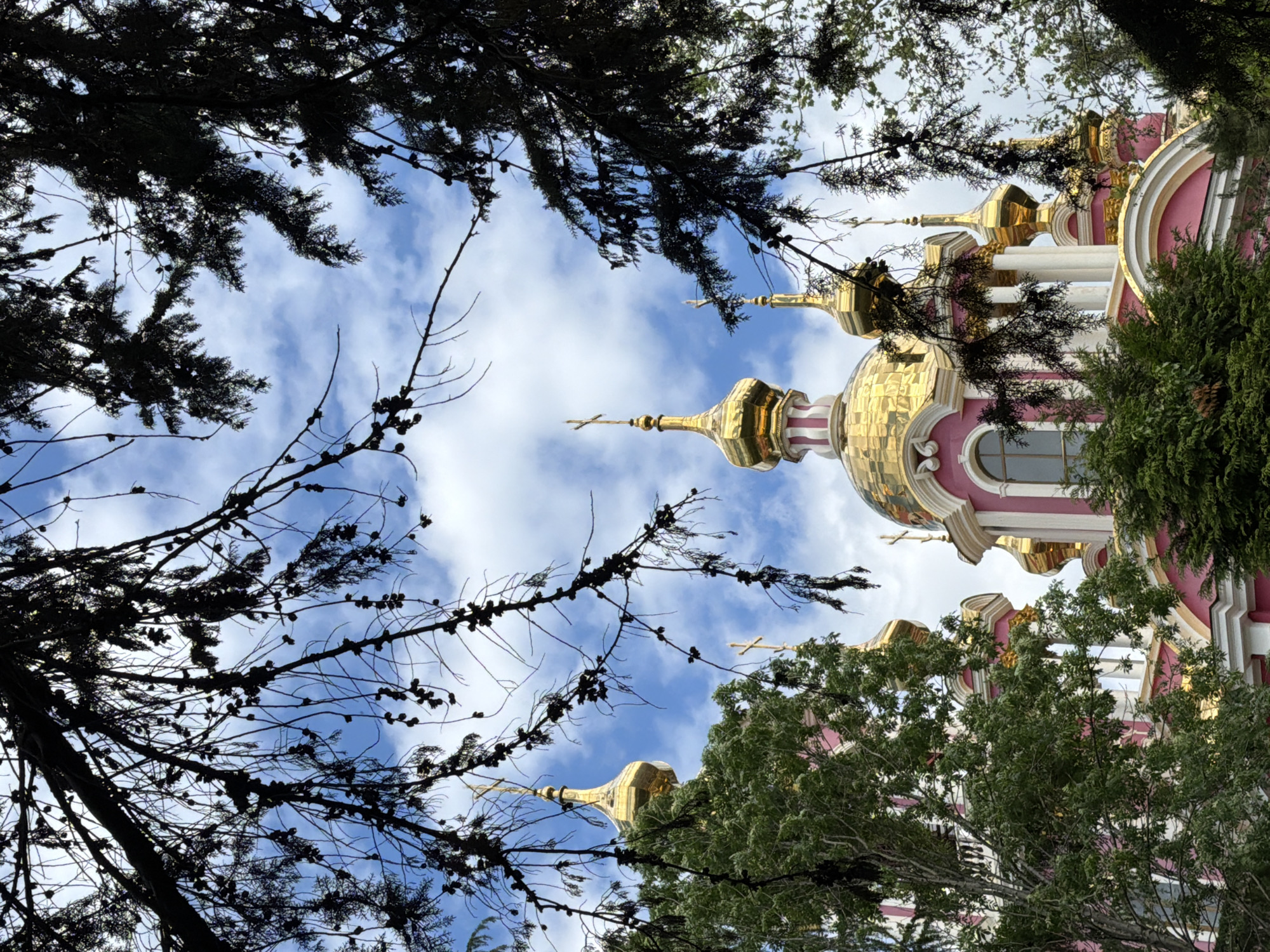 The image captures a view of the Cathedral of Michael the Archangel in Sochi, Russia, framed by tree branches. The cathedral is notable for its vibrant pink and gold facade and domes. Tree branches both bare and with foliage partially obscure the view, creating a natural frame. The sky is visible between the branches, showing a mix of blue and white clouds.