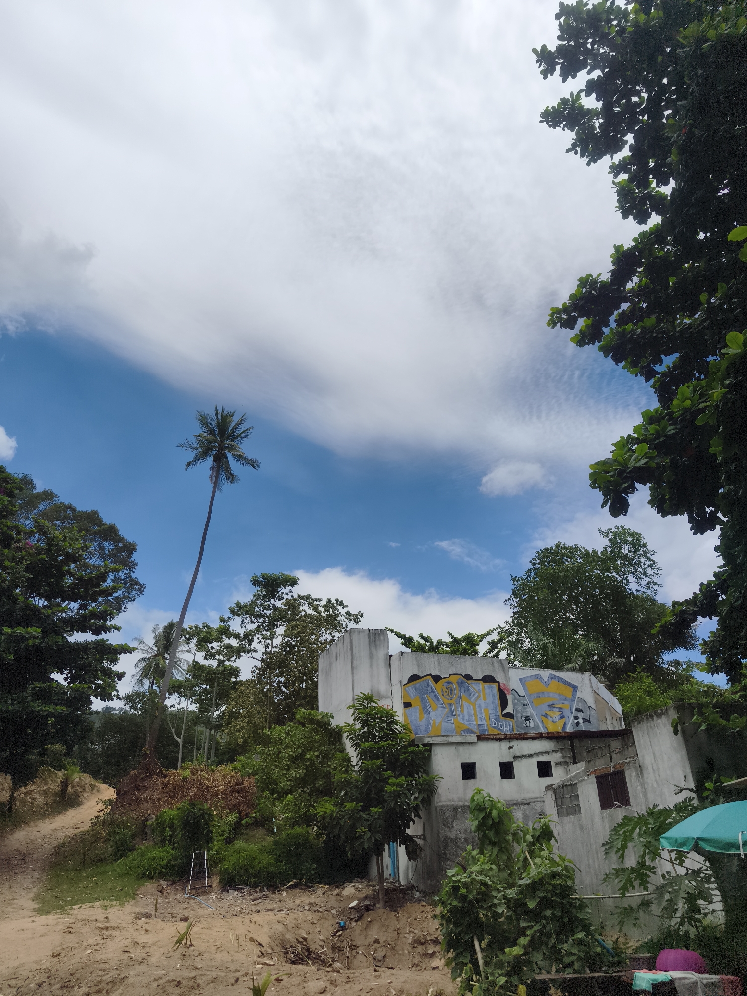 The image depicts a slightly tilted, unfinished concrete structure adorned with graffiti, situated on a hillside amidst lush vegetation and trees. A tall, slender palm tree stands prominently against a bright blue sky filled with wispy white clouds. A dirt path winds its way up the incline, and an overturned turquoise umbrella is visible to the right of the structure. The scene appears to be in a rural or semi-developed area on Ko Samui District, Thailand, characterized by its tropical flora and the presence of an uncompleted building. There are no people visible in the image.