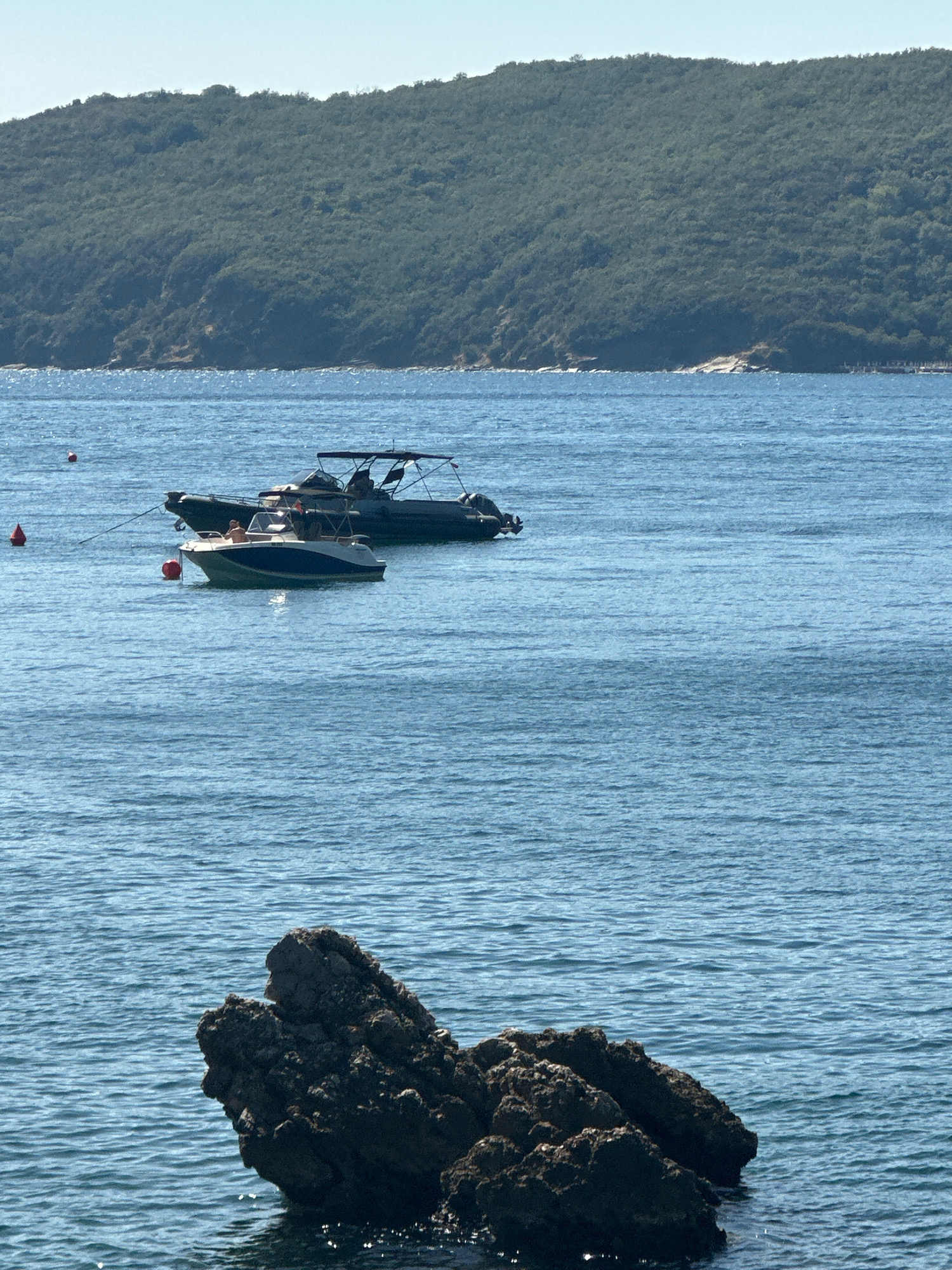 Two boats are moored in the calm, blue waters off the coast of Budva, Montenegro, with a verdant, tree-covered hillside forming the backdrop. In the foreground, a dark, jagged rock formation juts out of the water. One boat, a smaller white and blue vessel, has at least one person onboard. Behind it, a larger, dark-colored boat with a canopy is also anchored. Several orange buoys are visible, marking the area. The sky is clear and a pale blue.