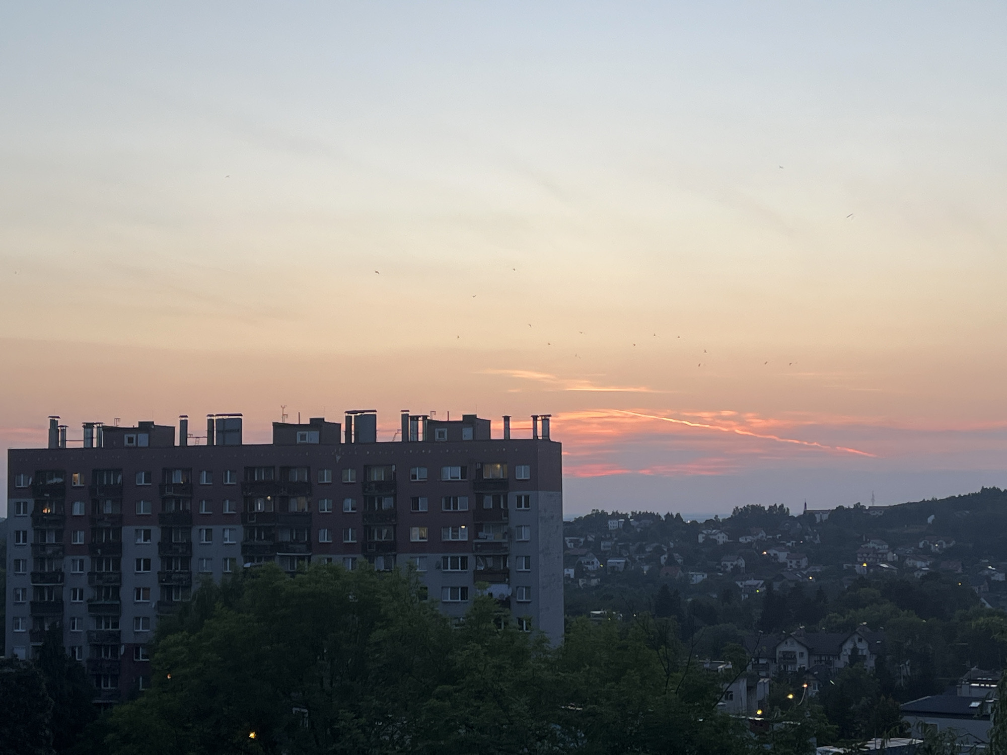 An exterior, eye-level, full shot captures a city skyline at dusk. A large, multi-story apartment building, with a reddish-brown and gray facade and numerous windows, dominates the left side of the frame. Trees with dark green foliage partially obscure the bottom of the building and extend across the foreground. In the background, a densely populated residential area with houses and trees stretches across rolling hills. The sky is a gradient of soft blue at the top, transitioning to pale yellow and then to pink and orange hues near the horizon. A faint contrail is visible in the upper right quadrant of the sky. Several small, dark specks, possibly birds, are scattered throughout the sky. The lighting suggests it is either sunrise or sunset.