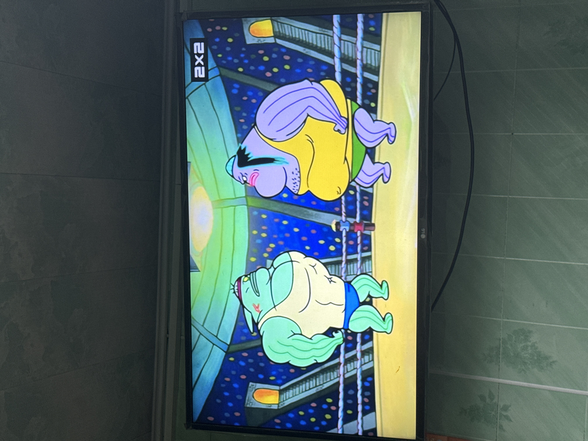 The image shows a television screen displaying a scene from an animated show. Two muscular cartoon characters are in a wrestling ring. The character on the left is green with a yellow tank top and blue briefs. The character on the right is purple with a yellow tank top and green briefs. The background of the ring is dark blue with colorful dots, and there are stairs and arches on either side. A "2x2" logo is visible in the upper right corner of the screen. The television is mounted on a wall covered with green tiled material. The location is not specified in the image or its metadata; therefore, the city of Красное, Russia cannot be confirmed.
