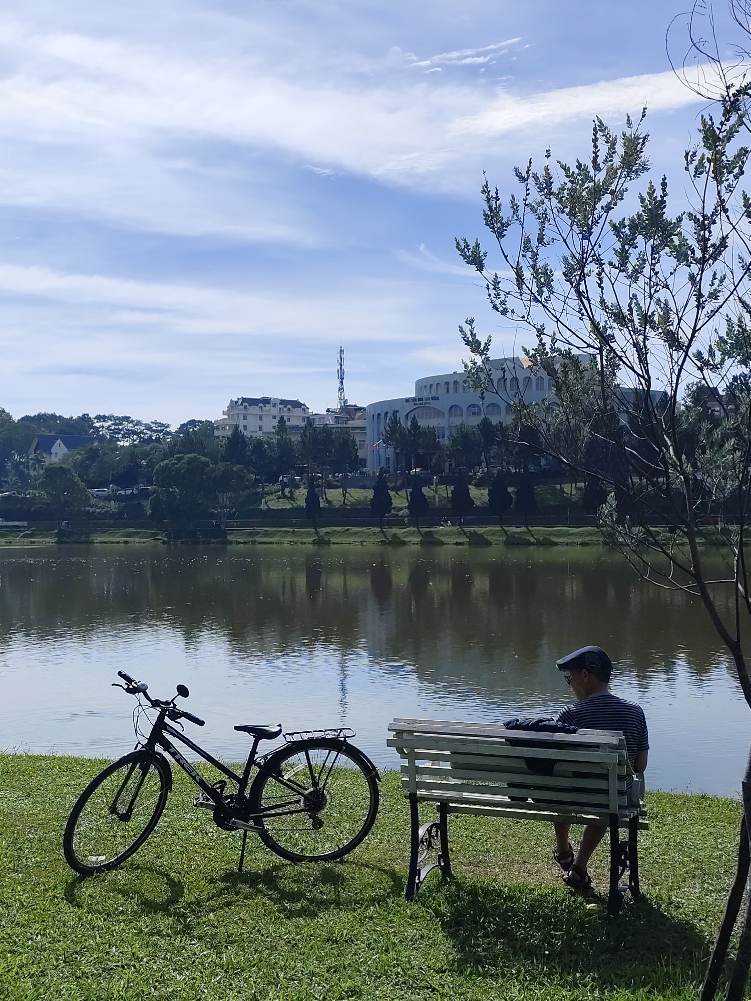 The image depicts a scene at Xuan Huong Lake in Da Lat, Vietnam. A man wearing a striped shirt and a cap is sitting on a white park bench facing the lake. A black bicycle is parked on the grassy bank next to the bench. The lake reflects the buildings and trees on the opposite shore. A tree is on the right of the frame. The sky is partly cloudy.