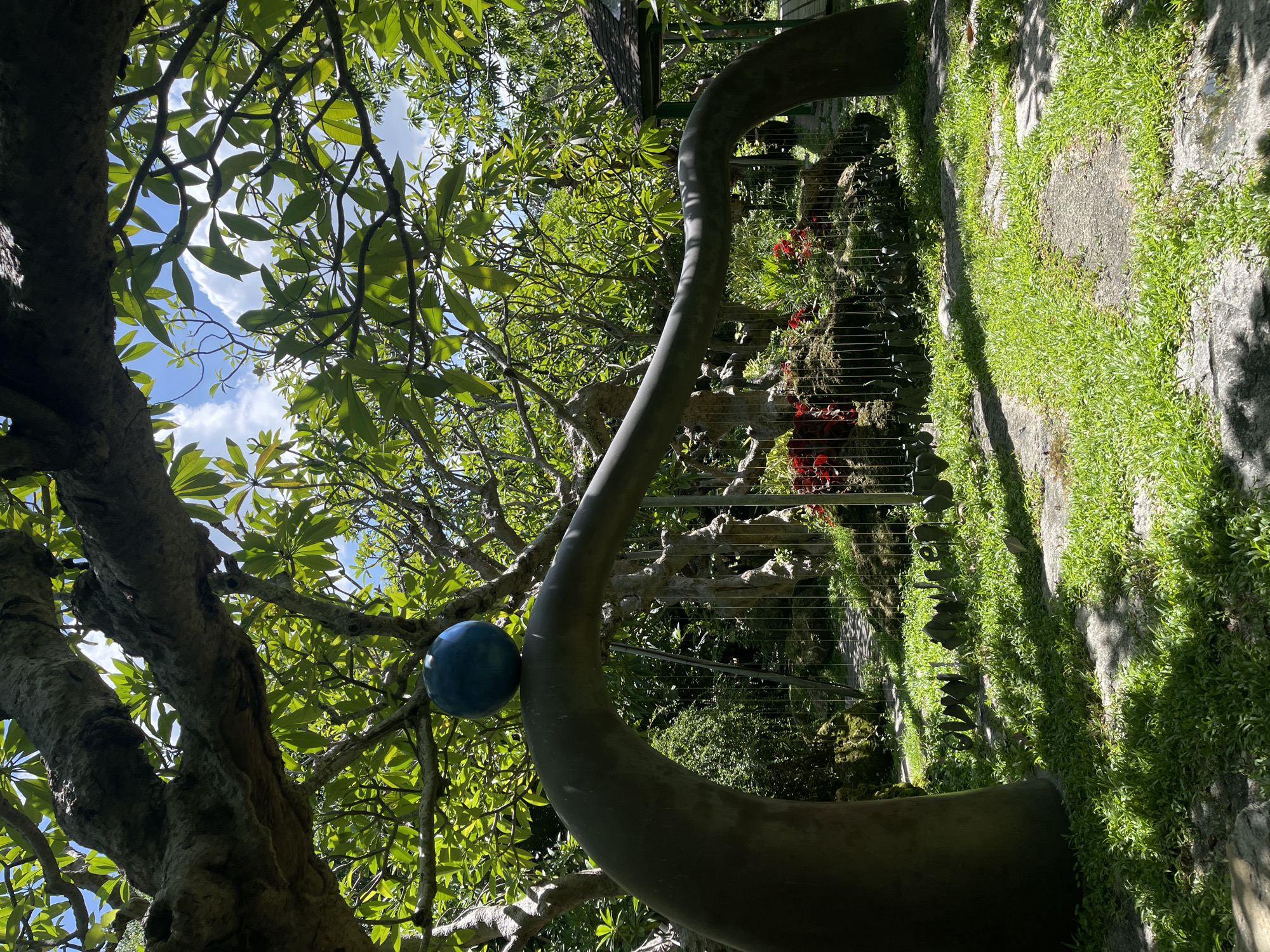 The image shows a lush green garden scene with a large, curving metallic sculpture. A dark blue sphere is positioned on the sculpture, which itself appears to be made of metal and is curved into a large "S" shape. The sculpture is set against a backdrop of vibrant green foliage from a large tree with a thick, textured trunk and branches. Sunlight filters through the leaves, creating dappled shadows on the ground and sculpture.
In the background, beyond the sculpture and foliage, there is a stone pathway or steps covered in green grass. There are also some red flowers visible on a rocky embankment to the left of the pathway, surrounded by more greenery. A wire fence runs along the embankment. The scene suggests an outdoor art installation or a landscaped garden. The lighting indicates it is daytime, with bright sunlight. There is no visible text in the image. The overall mood is tranquil and serene, with a focus on nature and artistic elements. The location context of Bangkok, Thailand, suggests a warm and tropical environment, consistent with the abundant foliage and bright sunlight.