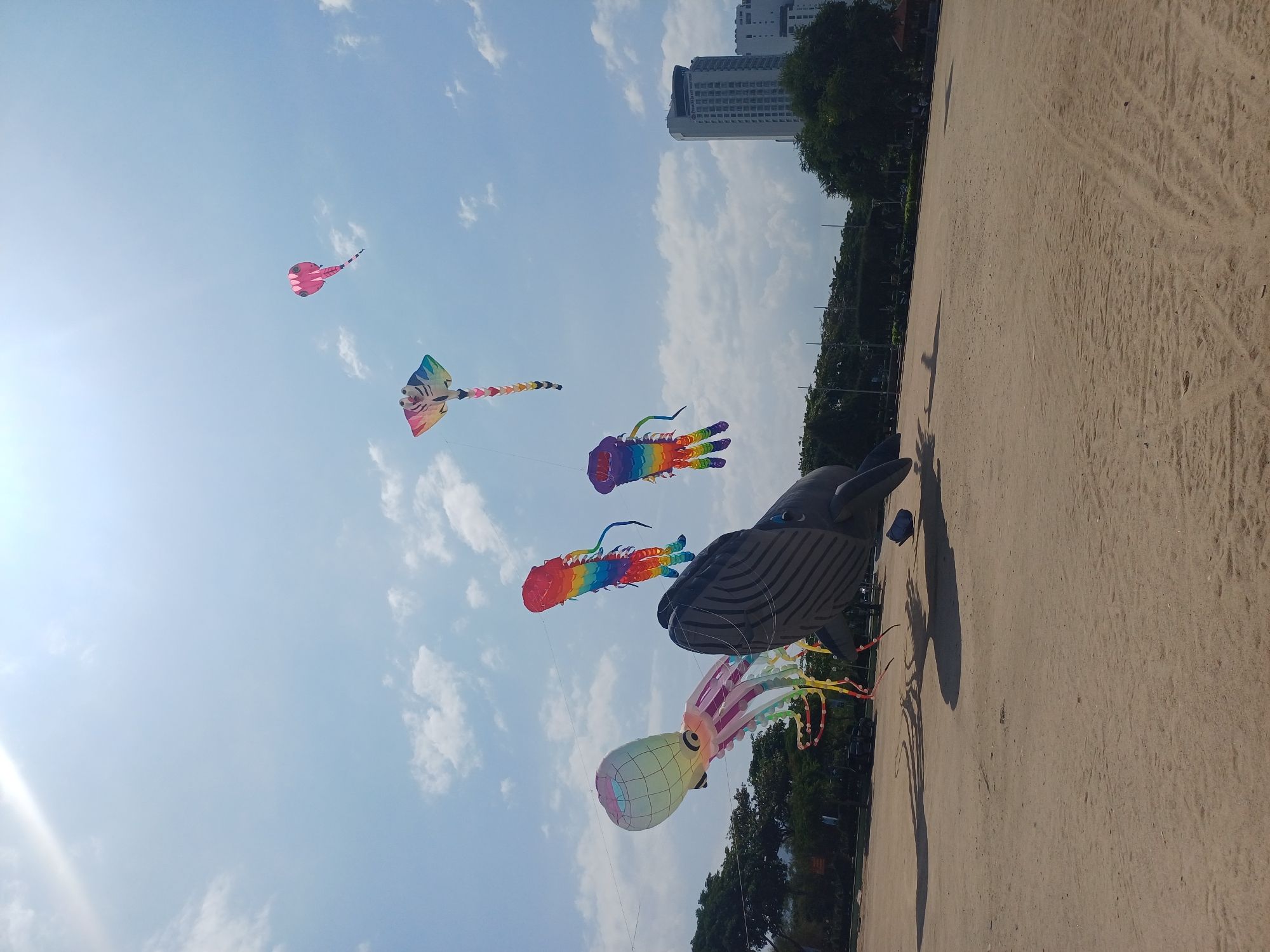 An aerial view captures a sandy beach area in Nha Trang, Vietnam, where several large, colorful kites are flying in a bright, partly cloudy sky. The kites, designed in the shapes of marine animals, include a large grey whale, an octopus, a jellyfish, and two stingrays. The whale kite is positioned in the foreground, casting a long shadow on the sand. Behind the kites, a line of lush green trees borders the beach, and in the distance, a modern, light-colored high-rise building is visible. The sun is shining brightly, creating a glare in the upper left corner of the image. The ground is primarily sand, with some tire tracks visible. No people are clearly discernible in the frame.