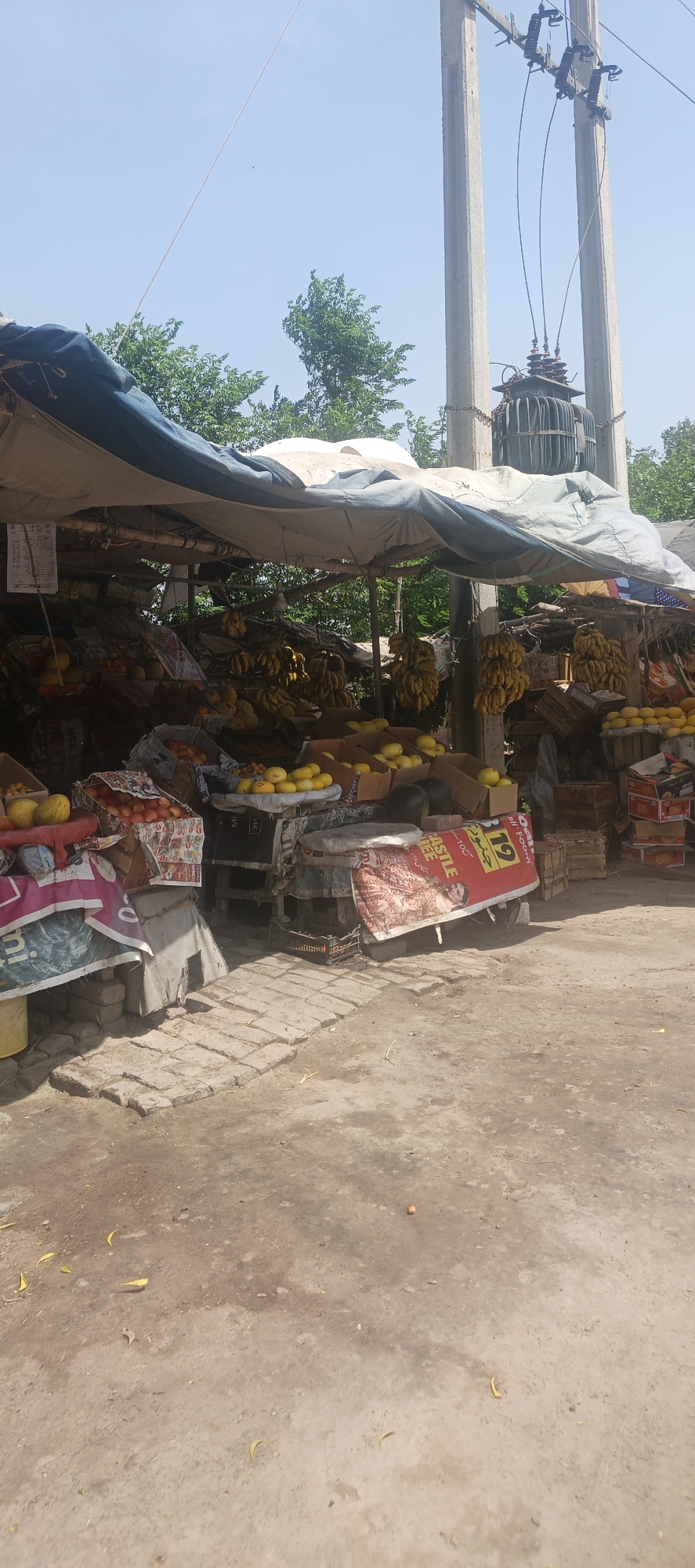 This image captures an outdoor fruit stall under a clear, bright blue sky, typical of a marketplace in Mandihar, Pakistan. The stall is covered by a simple canopy fashioned from dark blue and off-white tarpaulins, offering shade from the sun.
The stand is laden with a variety of fruits. Large bunches of ripe yellow bananas hang from the supporting structure of the stall. Below, numerous fruits are displayed in wooden crates and cardboard boxes, including piles of bright yellow mangoes, red apples, and watermelons. Other smaller, yellowish fruits are also visible. The ground in front of the stall is a mix of compacted dirt and a small section of light-colored, uneven brick paving, with a few dry leaves scattered about.
To the right, a sturdy concrete electricity pole rises, supporting power lines and a large, cylindrical gray electrical transformer, which suggests the presence of public infrastructure. The strong sunlight and lack of clouds indicate it is daytime with sunny weather. Although no people are visible, the organized display of produce implies active commerce.
Visible text details include:
- A prominent red banner advertising a product, featuring the English word "CASTLE", the Urdu word "فوم" (foam), and the number "12" in a yellow box. The word "FREE" is also visible below a woman's photograph. This appears to be an advertisement for a foam or mattress product.
- A partial logo "MCB" can be seen on a cardboard box.
- A white paper with handwritten text, likely a price list or schedule, hangs from the canopy but is largely illegible.
The scene depicts a practical, open-air fruit vending operation in a rural or semi-urban South Asian environment.