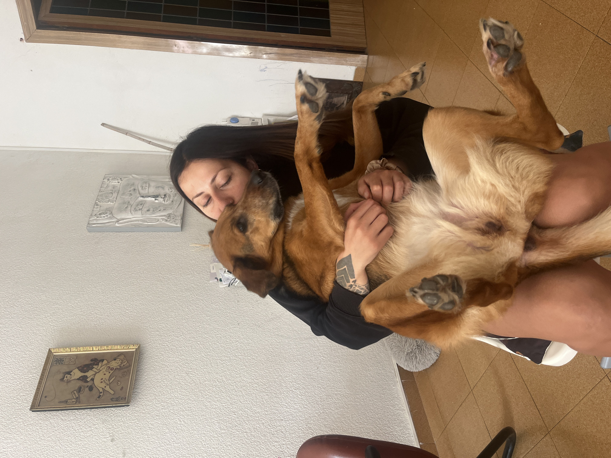 An indoor scene depicts a young woman affectionately embracing a medium-sized dog. The woman has long dark hair, closed eyes, and a nose ring, pressing her face against the dog's head. She wears a dark long-sleeved top and has a geometric tattoo on her left forearm. The dog, with reddish-brown fur and a lighter underbelly, is lying on its back, being cradled by the woman, with its paws extended upwards. Its dark paw pads are clearly visible.
The setting is a room with light brown tiled flooring and white, textured walls. High on the wall, there's a wooden frame, possibly for a window or vent. A white relief sculpture, appearing to be a Buddha head, is mounted on the wall to the left of the woman. Further down and to the left, a small framed picture featuring two stylized reclining cats in a gold frame is visible. A stick or pole leans against the wall near the woman's head. Part of a fluffy grey object, possibly a cushion, is on the floor to the right. The lighting suggests an indoor environment, creating a warm, intimate atmosphere. The woman's closed eyes convey a sense of comfort, affection, or peace in this tender moment with her pet. No discernible text is visible in the image.